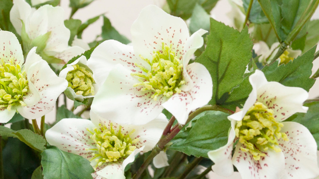 New Year, New Beginnings