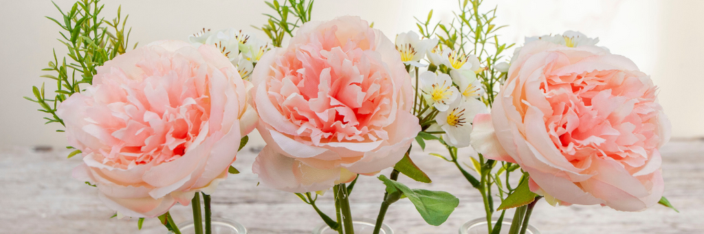 Celebrate Spring Flowers with Peony