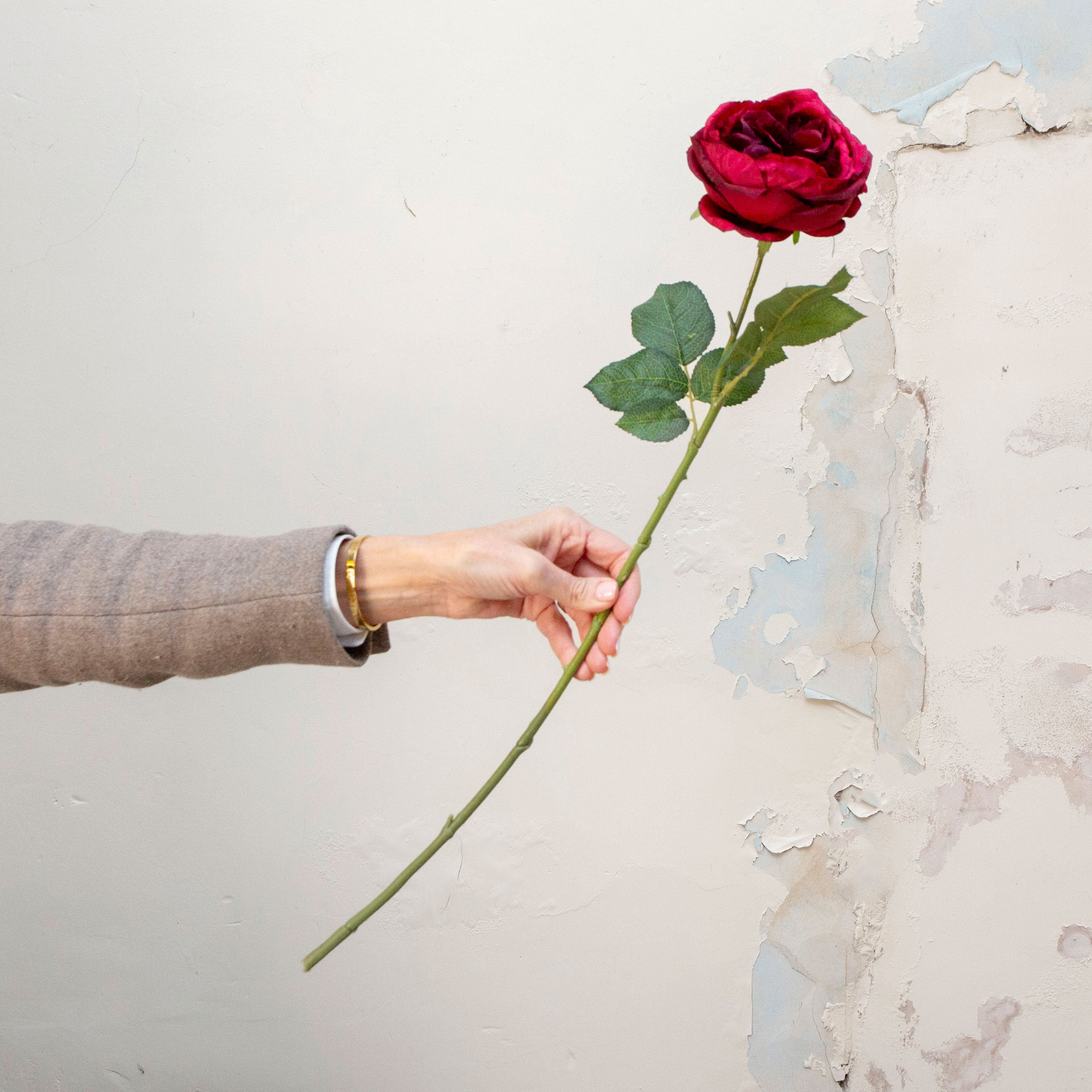 Artificial deep red rose stem being held in hand, featuring a rich burgundy rose bloom with layered petals and realistic green foliage on a slender stem.”