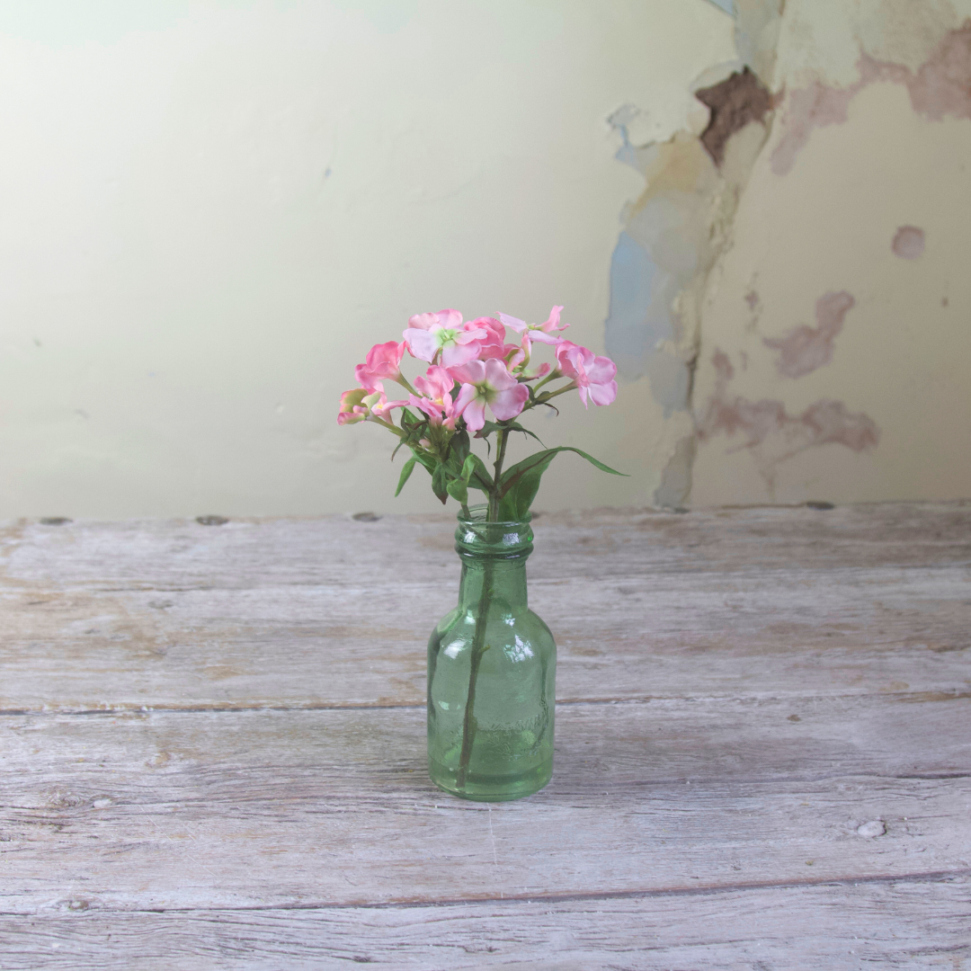 Pink Phlox in a Recycled Green Glass Bottle Vase
