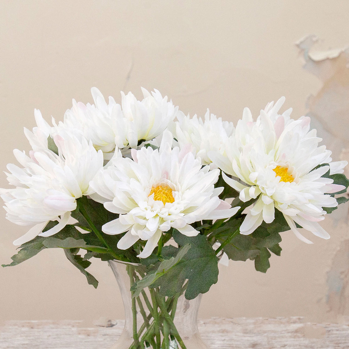 Close up of artificial white chrysanthemum stems with green foliage displayed in a clear glass vase
