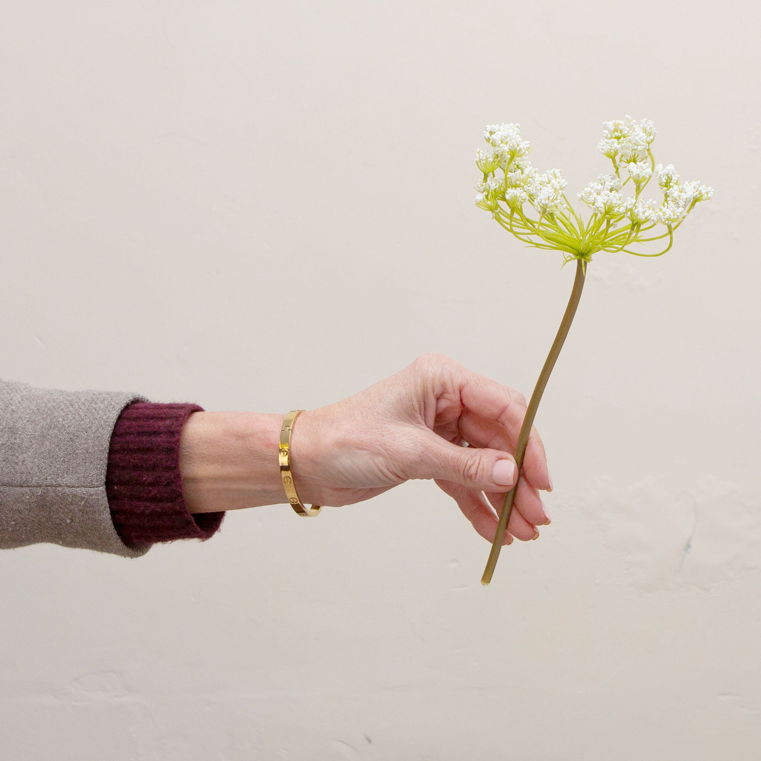 Artificial cow parsley (Queen Anne’s lace) stem held in hand, featuring delicate white flower clusters and fine green stems
