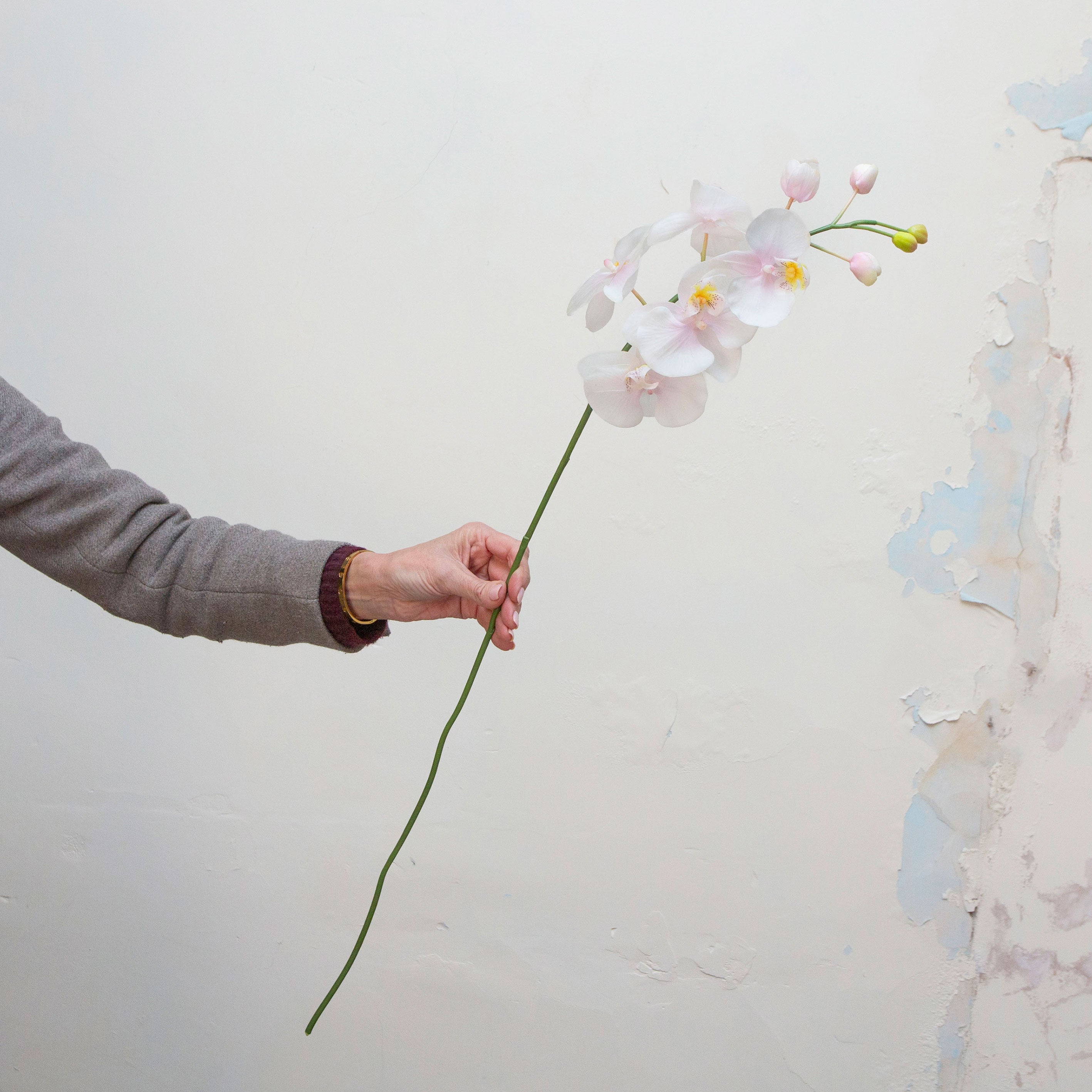 Artificial pale pink orchid stem being held in hand, featuring soft pale pink blooms with yellow centres and unopened buds on a slender stem