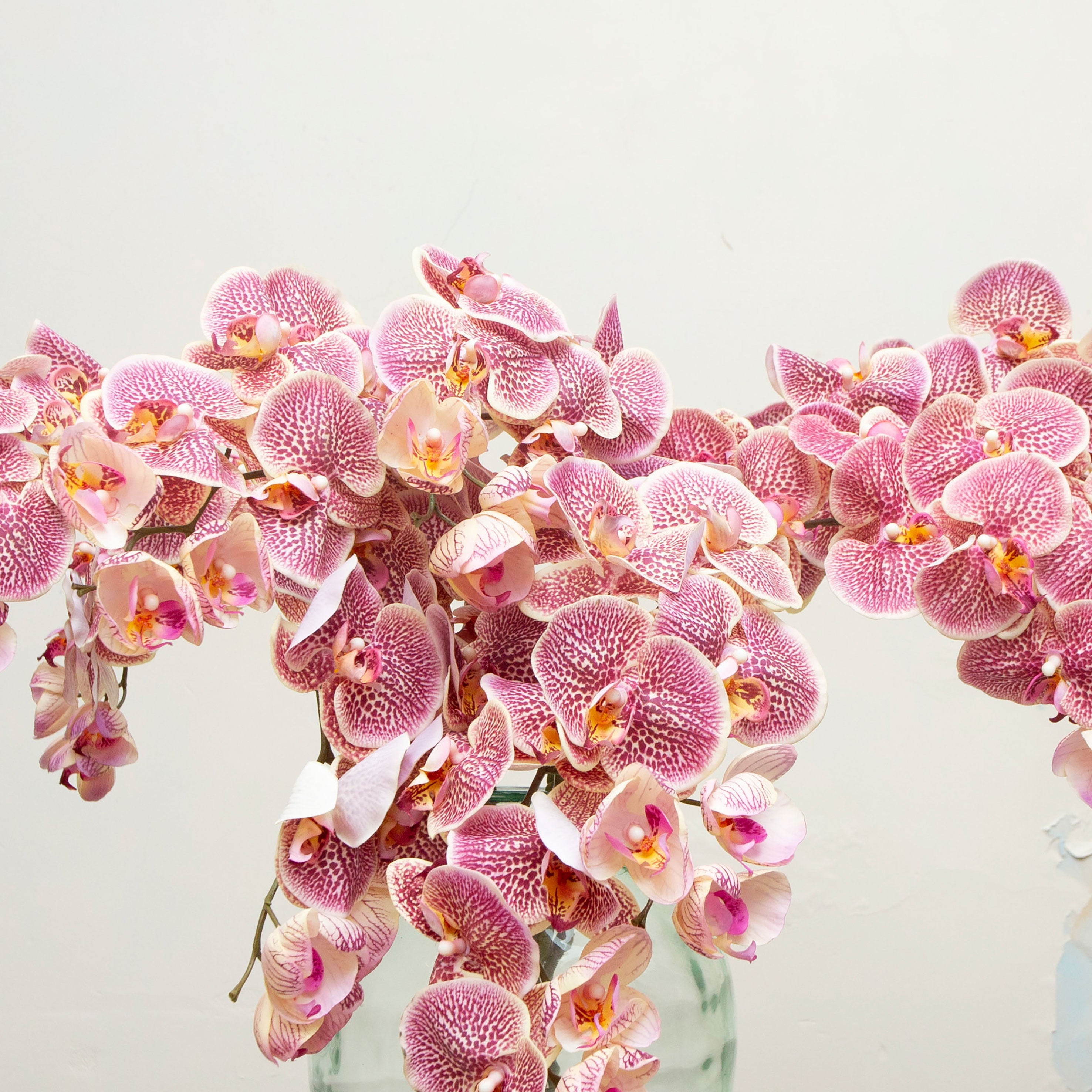 Close-up of artificial pink orchid flowers, highlighting soft blush petals with intricate darker burgundy- pink speckling, warm yellow centres and subtle natural veining