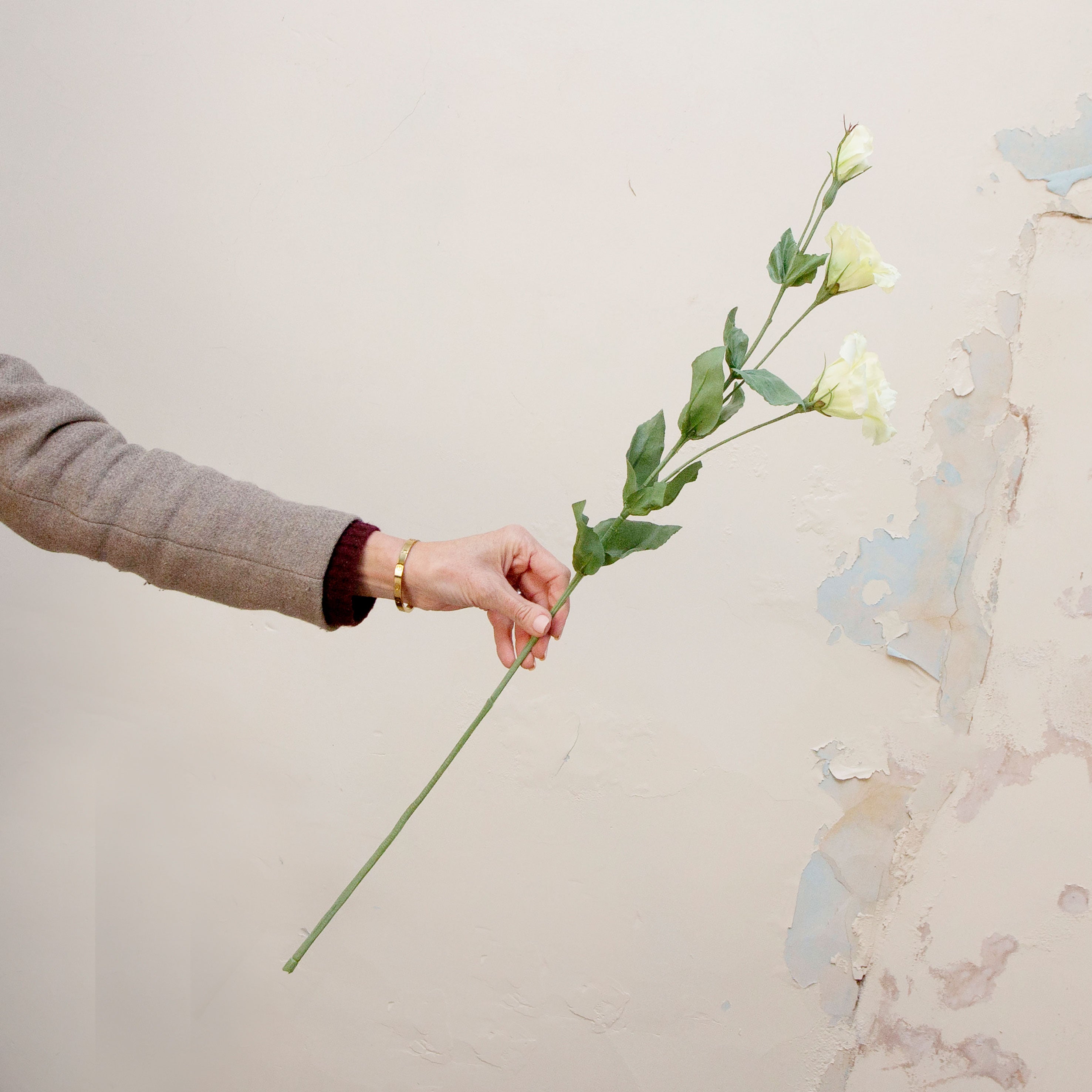 Artificial white lisianthus spray stem held in hand, featuring delicate open blooms, buds, and green foliage