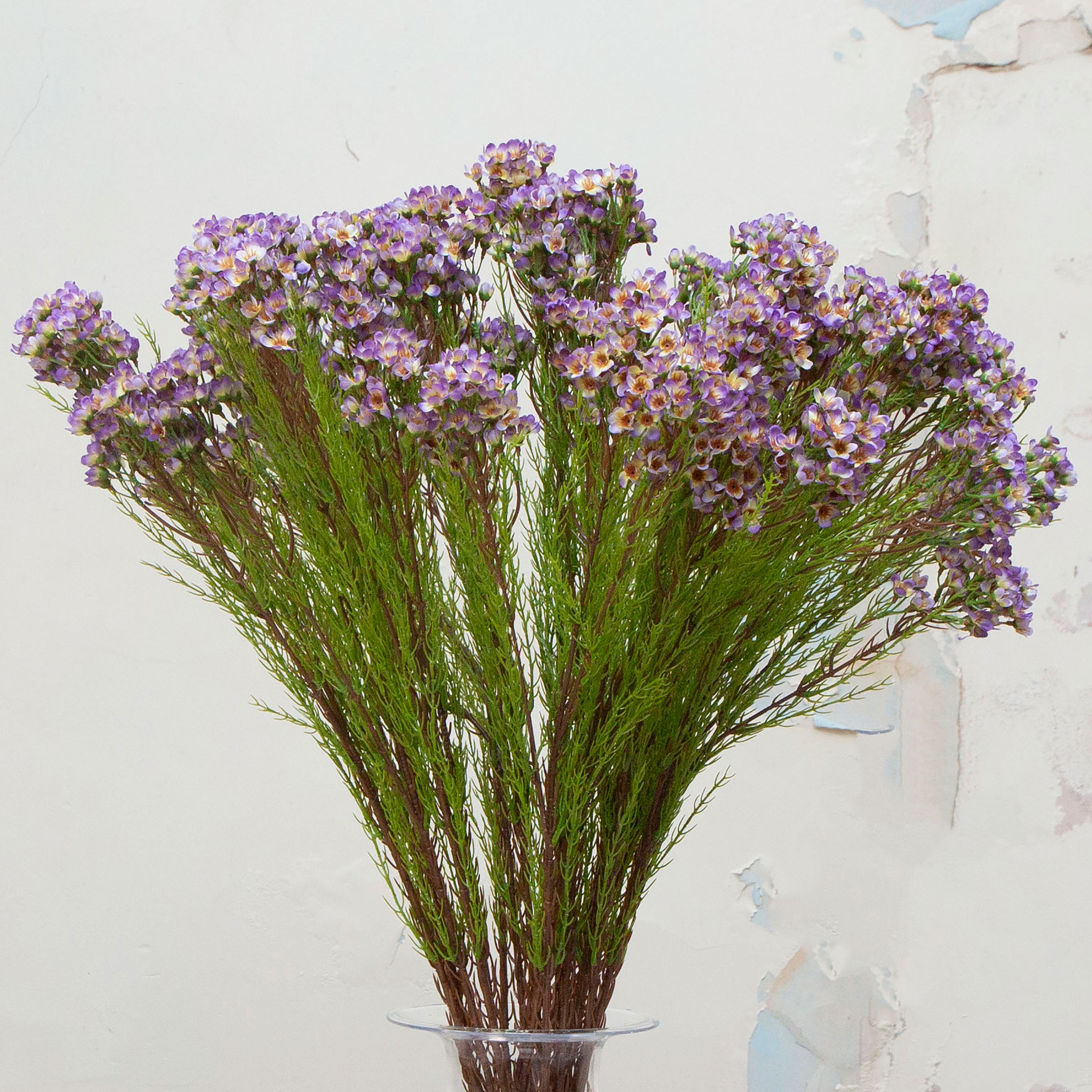 Close-up of artificial pale purple waxflower flowers showing delicate clustered blooms and fine texture.