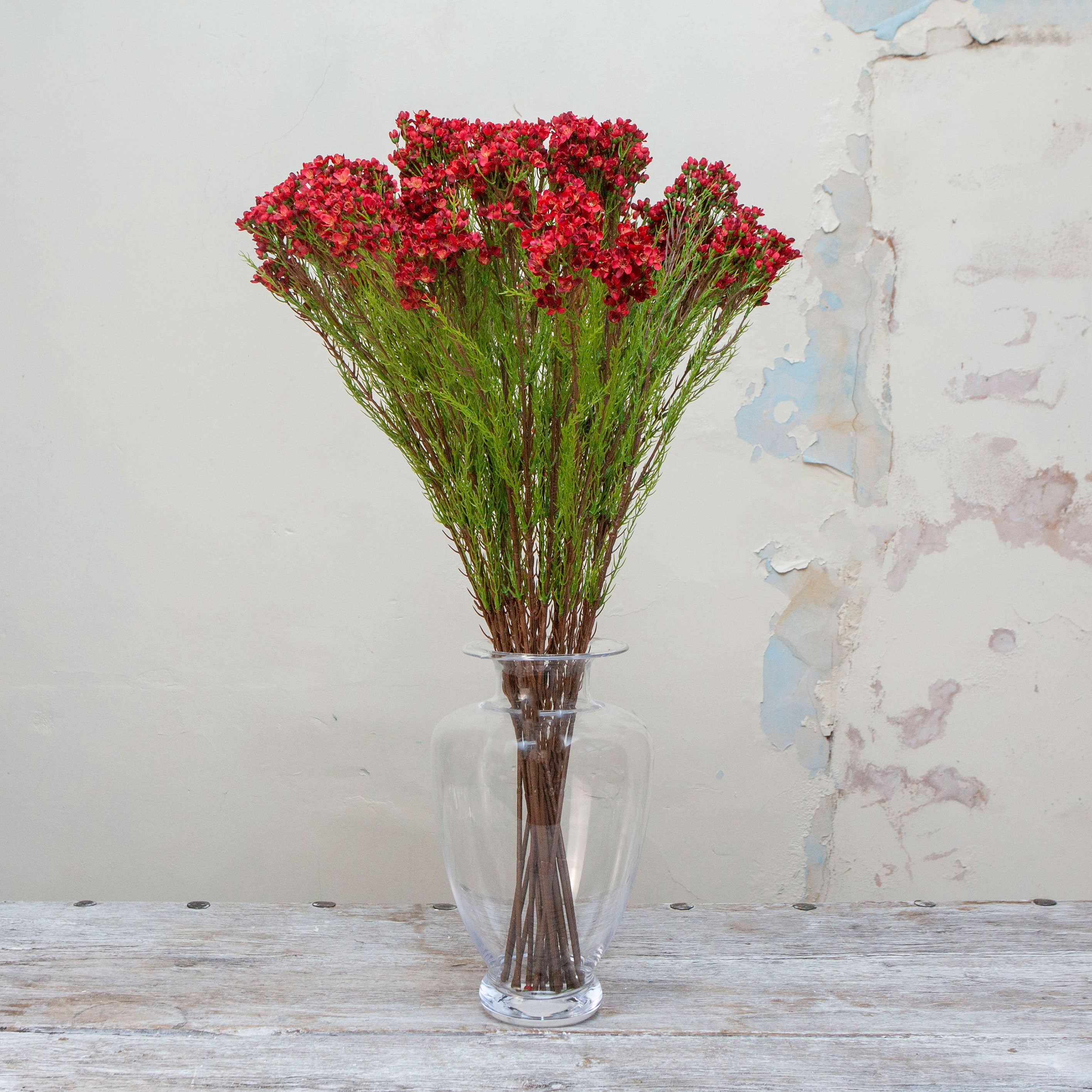 Artificial red waxflower spray stems displayed together in a vase for styling purposes.