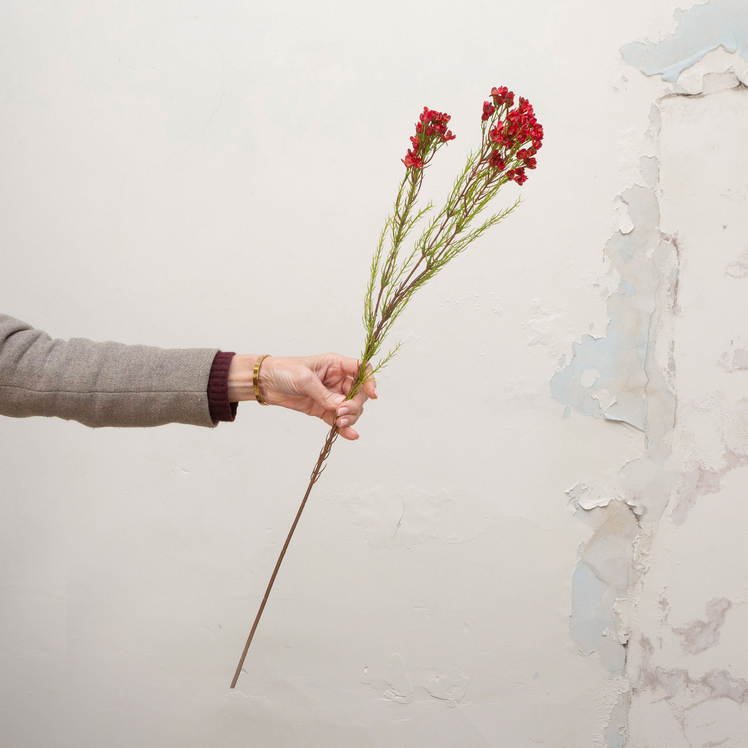 Artificial red waxflower spray stem held in hand, featuring small clustered blooms on fine branching stems