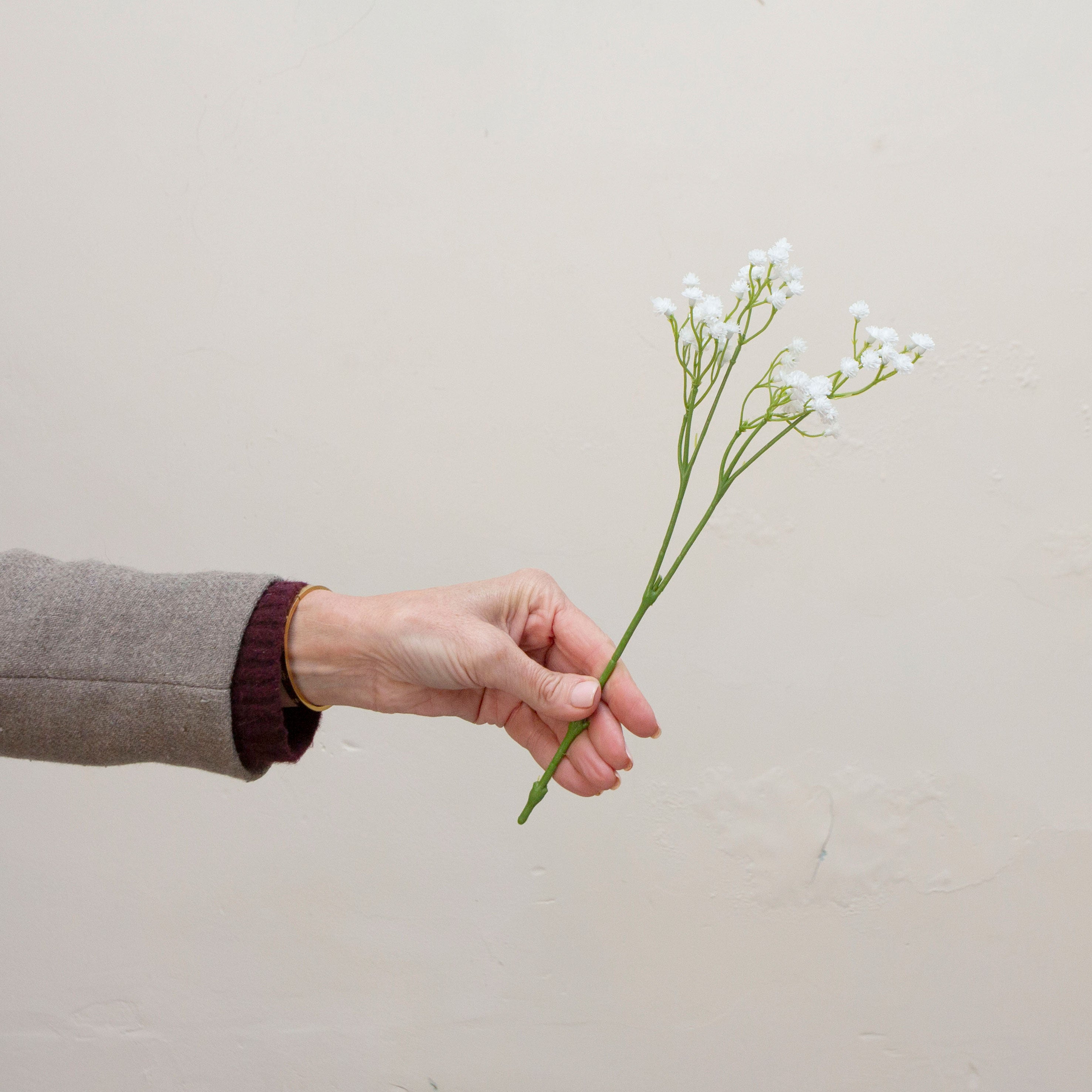 Hand holding artificial white gypsophila pick stem