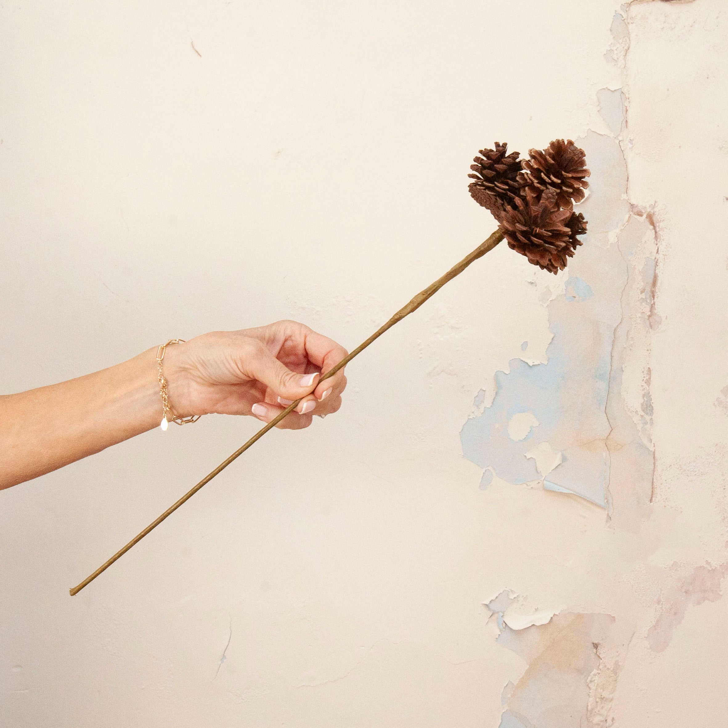 Hand holding Artificial Pine Cone Stem with natural brown pine cones on long stem