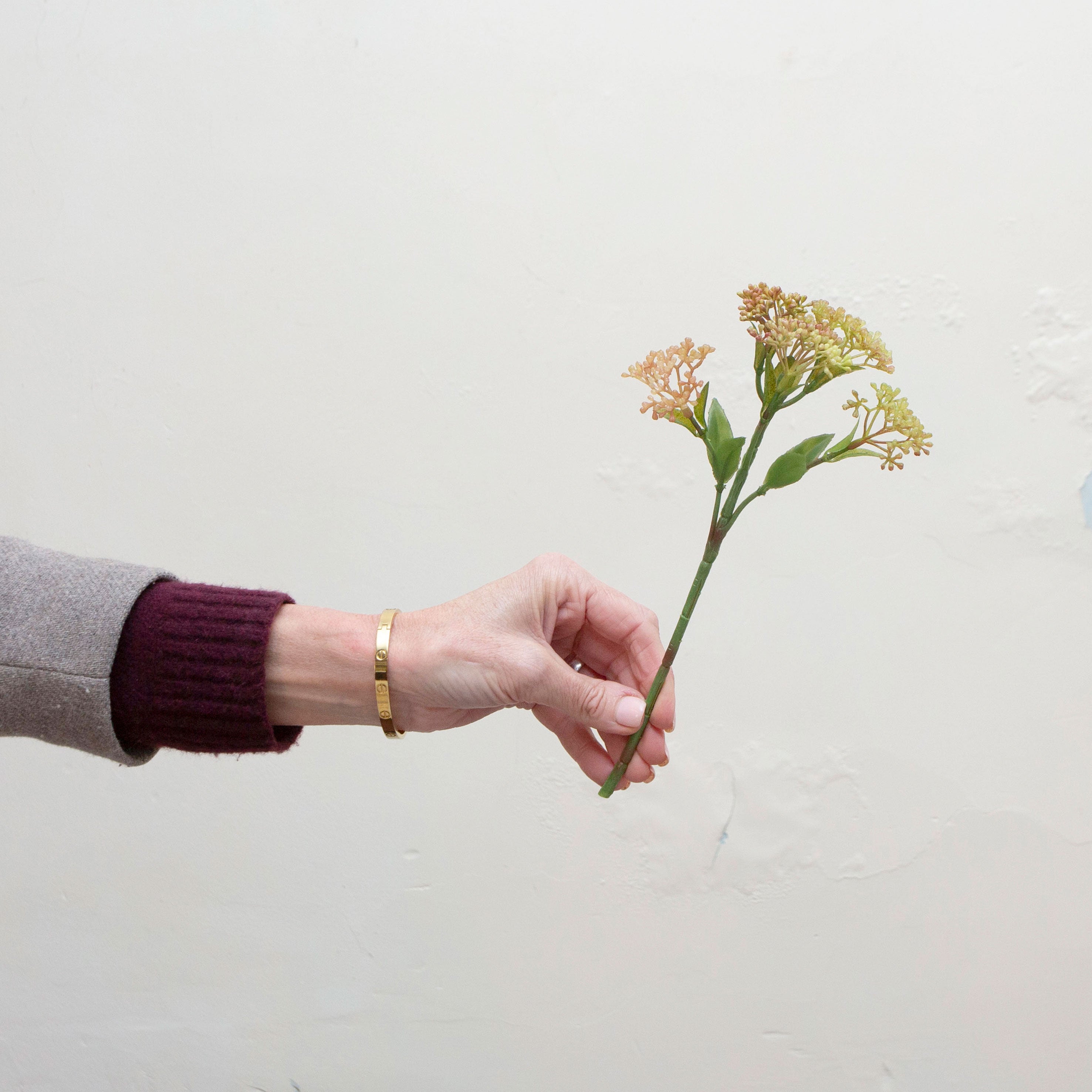 Artificial green-pink skimmia stem held in hand, featuring clustered buds with soft green and pink tones and green leaves.