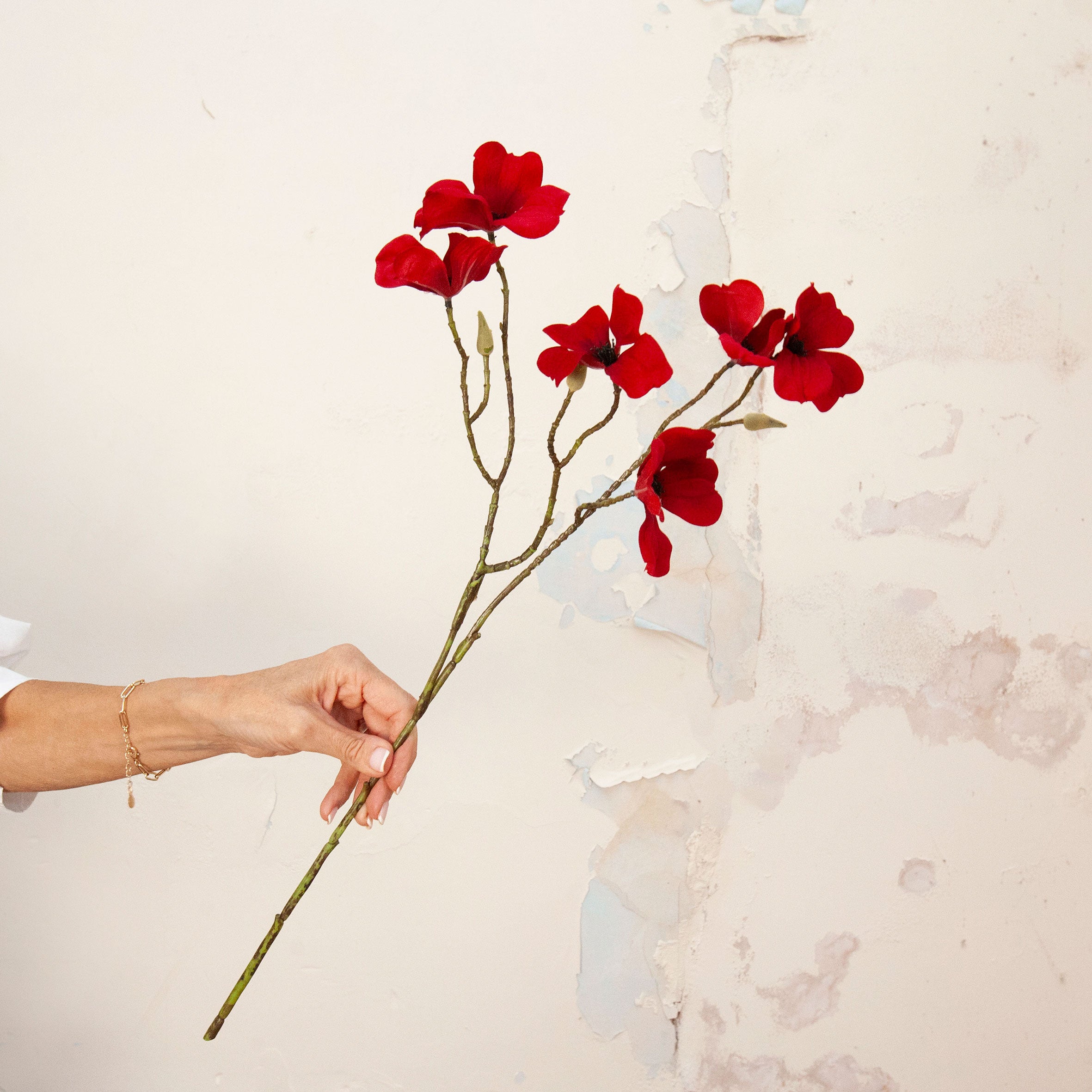Hand holding Artificial Red Dogwood Stem with vibrant red flowers and dark centres