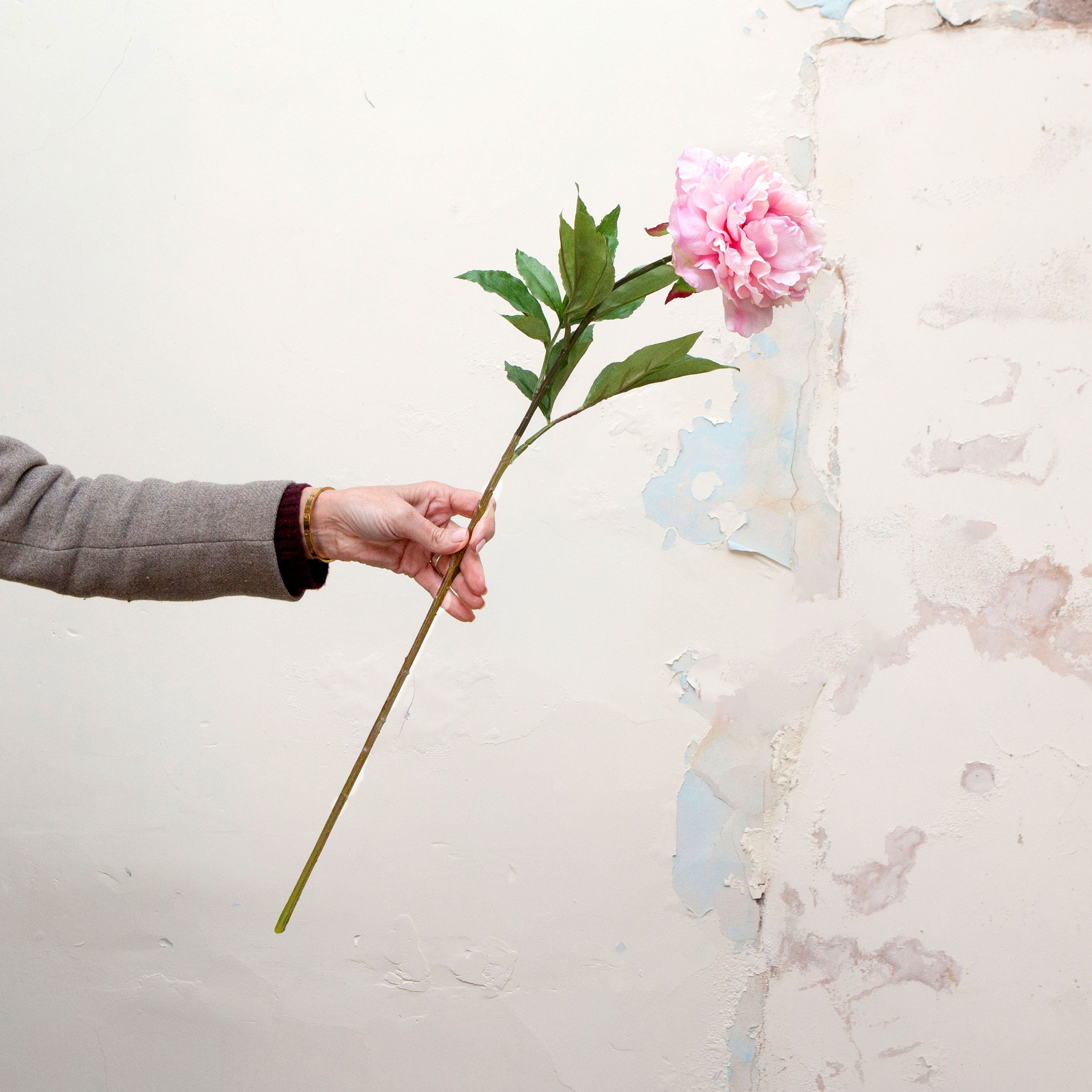 Hand holding artificial pink peony stems with green leaves
