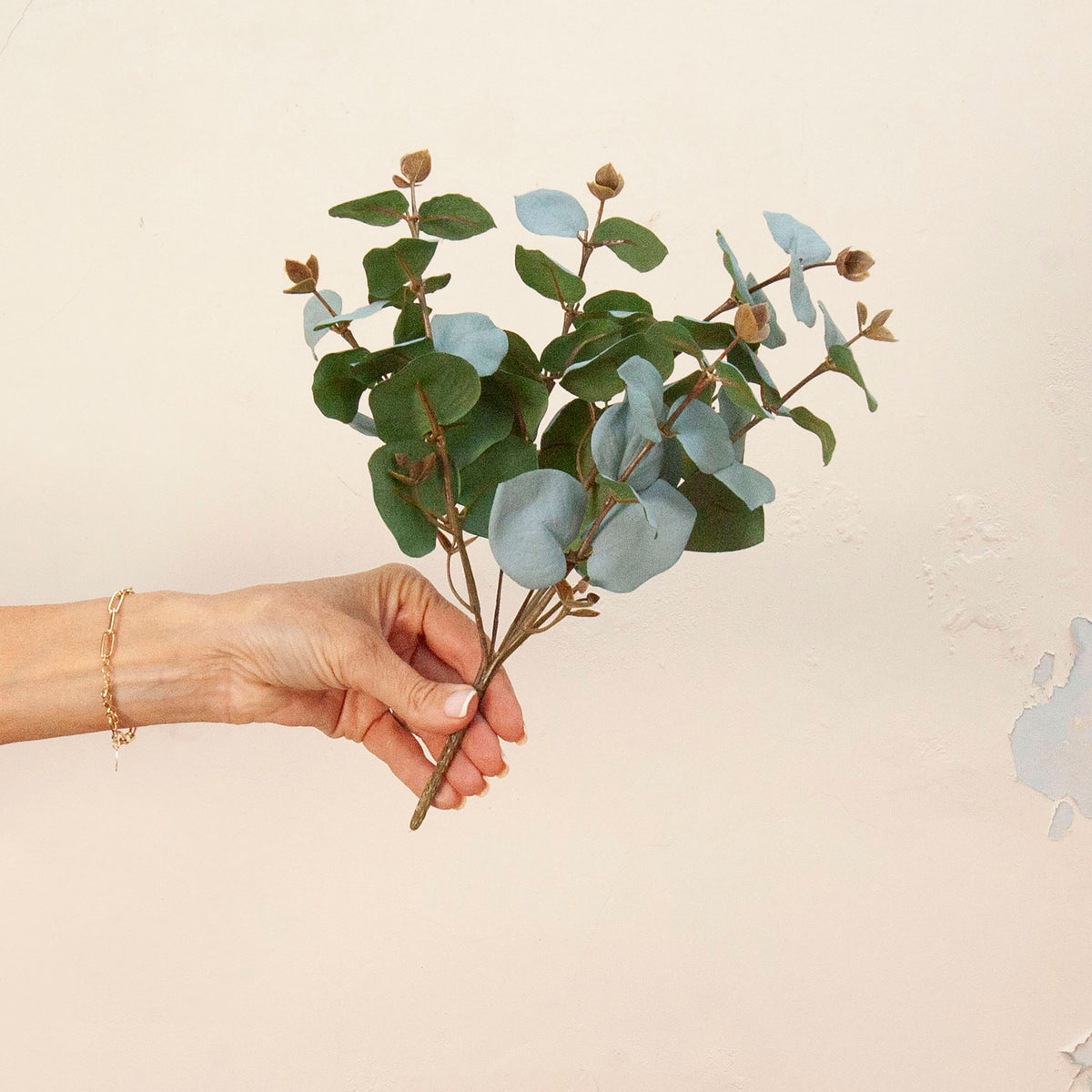 Hand holding Artificial Eucalyptus Bunch Stem with soft blue-green rounded leaves