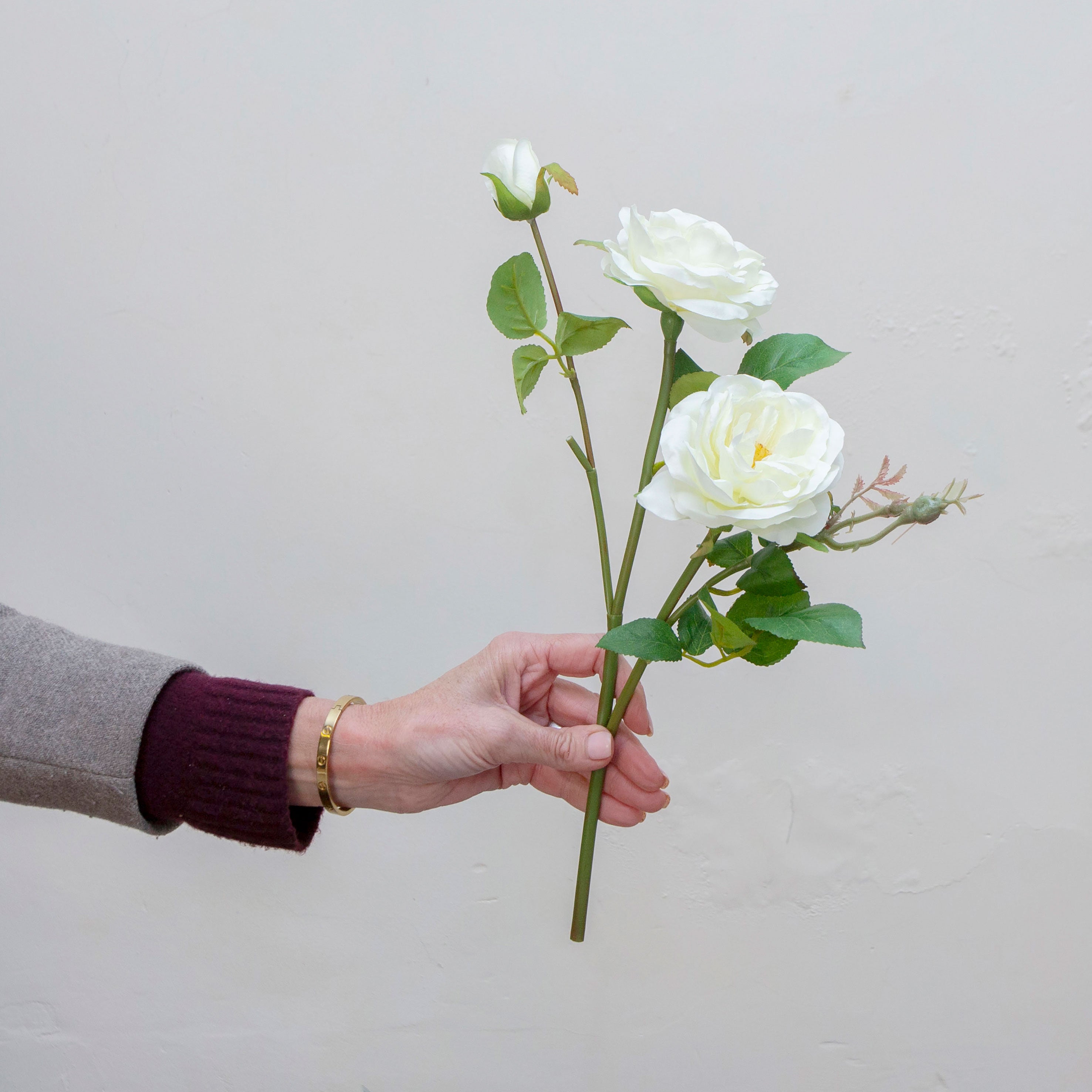 Hand holding artificial bridal white two headed old English rose stems with bud