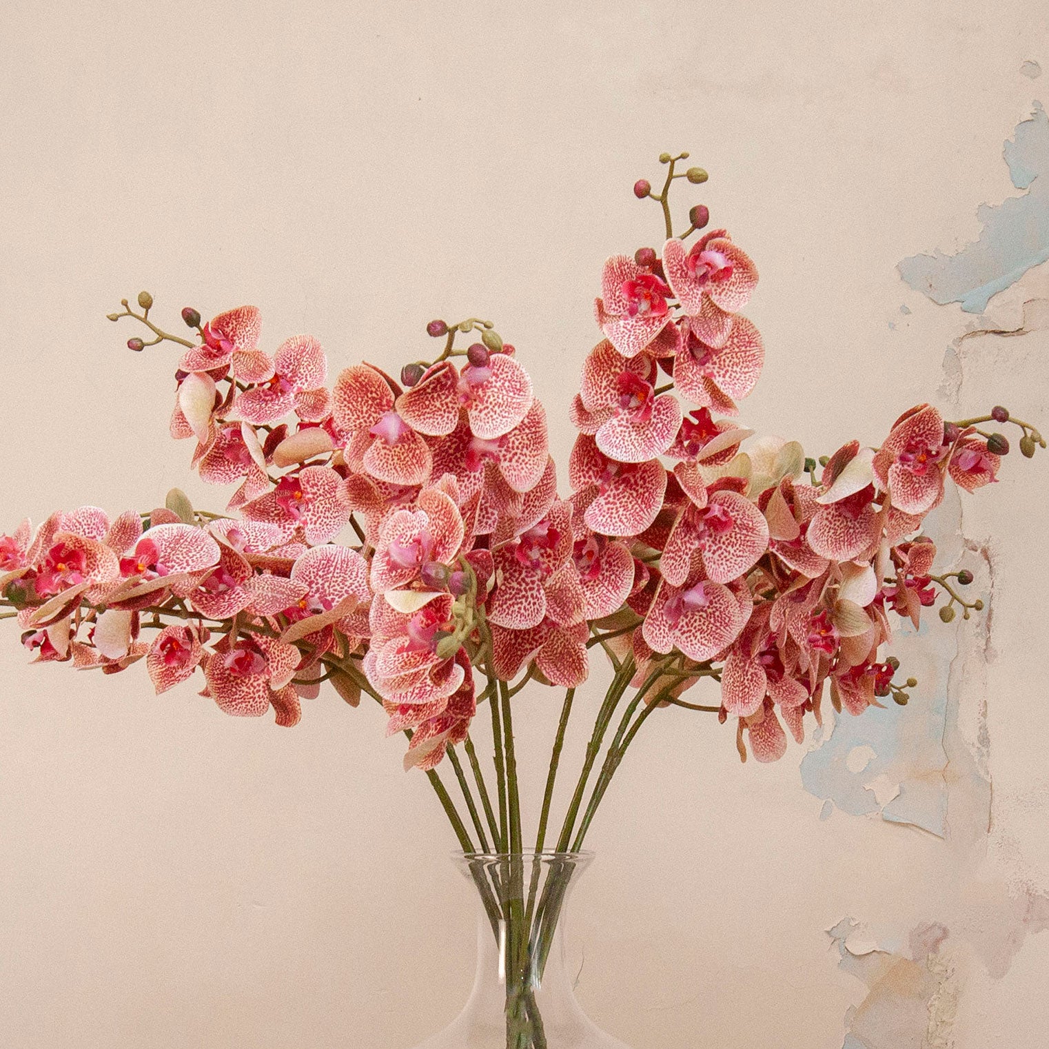 Close up of Artificial Phalaenopsis Orchid Stems with soft pink and cream speckled blooms and delicate buds displayed in a clear glass vase