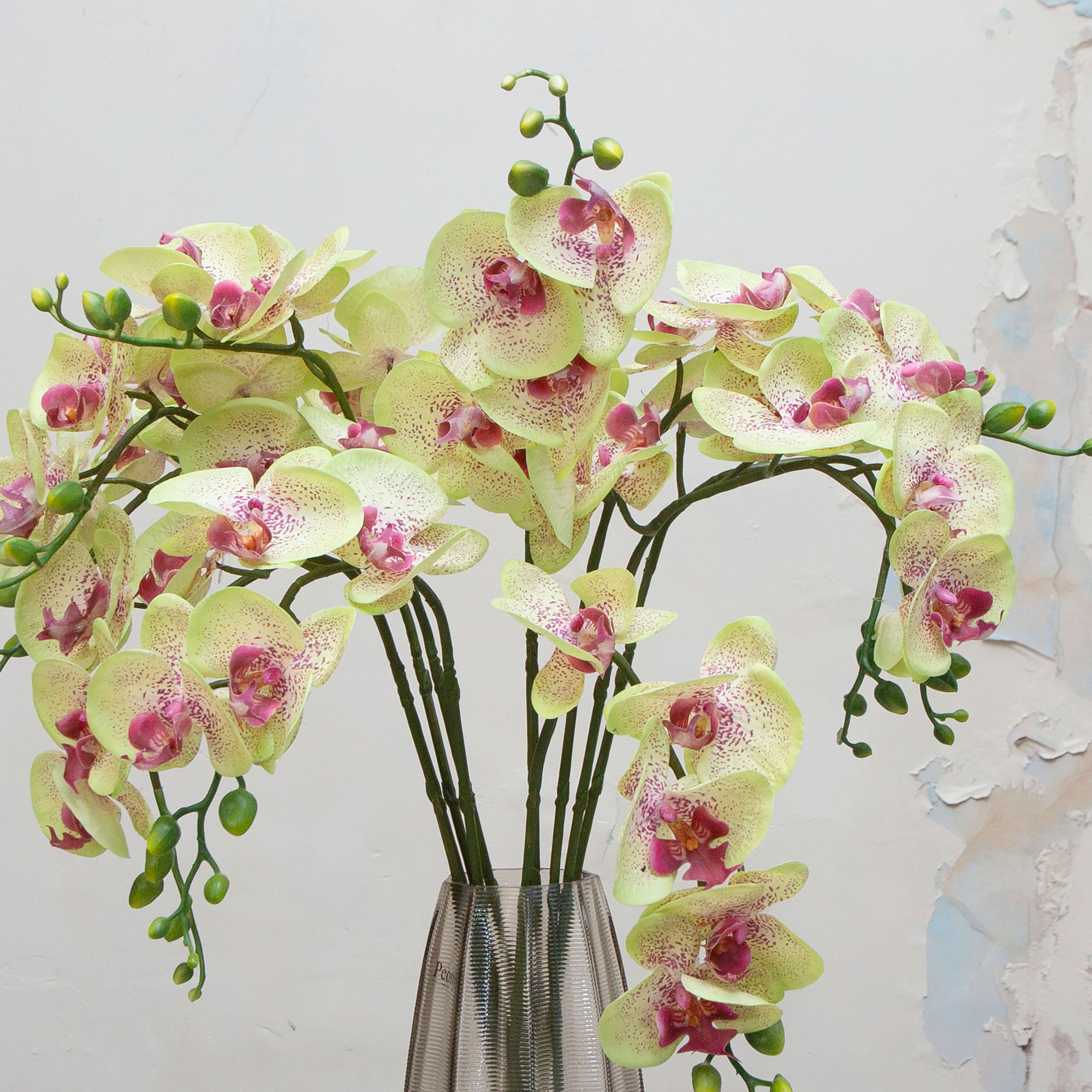 Close-up of artificial green orchid flowers with pink detailing, showing delicate petals and natural colour variation