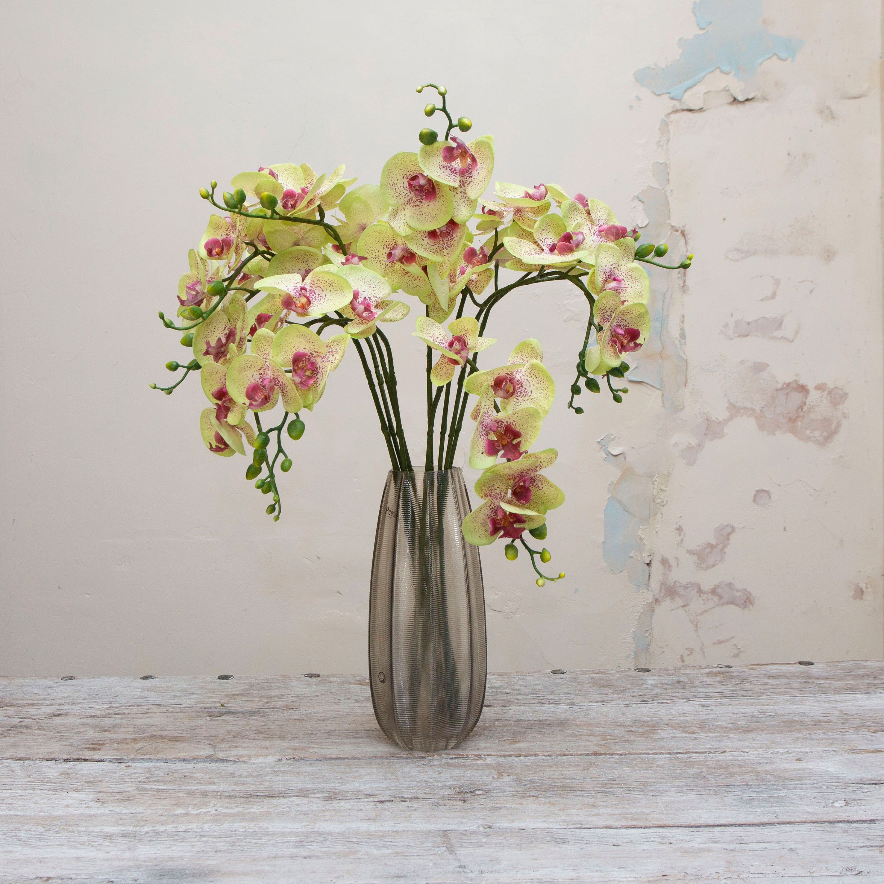 Artificial green orchid stems with pink detailing displayed together in a vase for styling purposes.