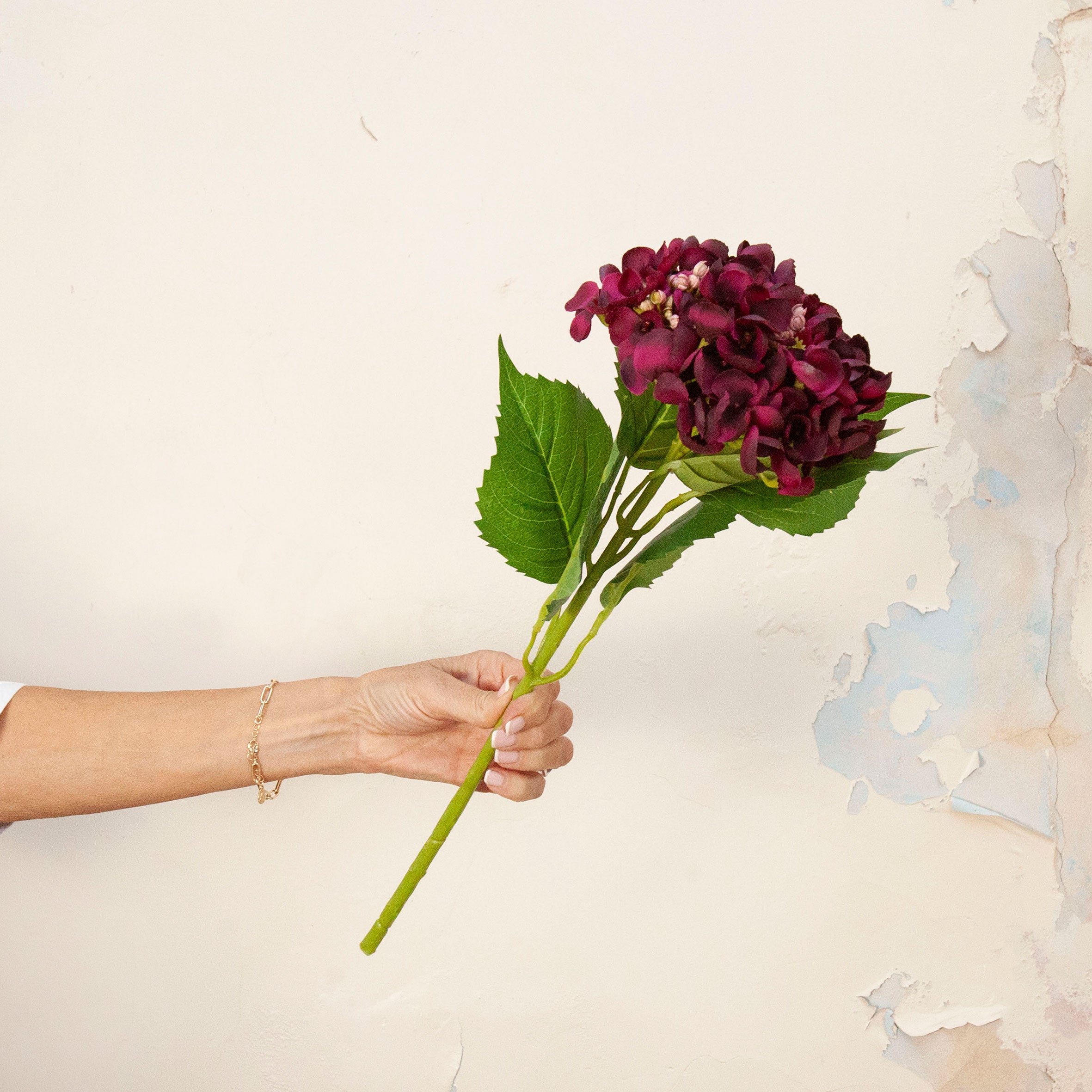 Hand holding Artificial Hydrangea Stem with large rich burgundy flower head, layered petals and realistic green leaves