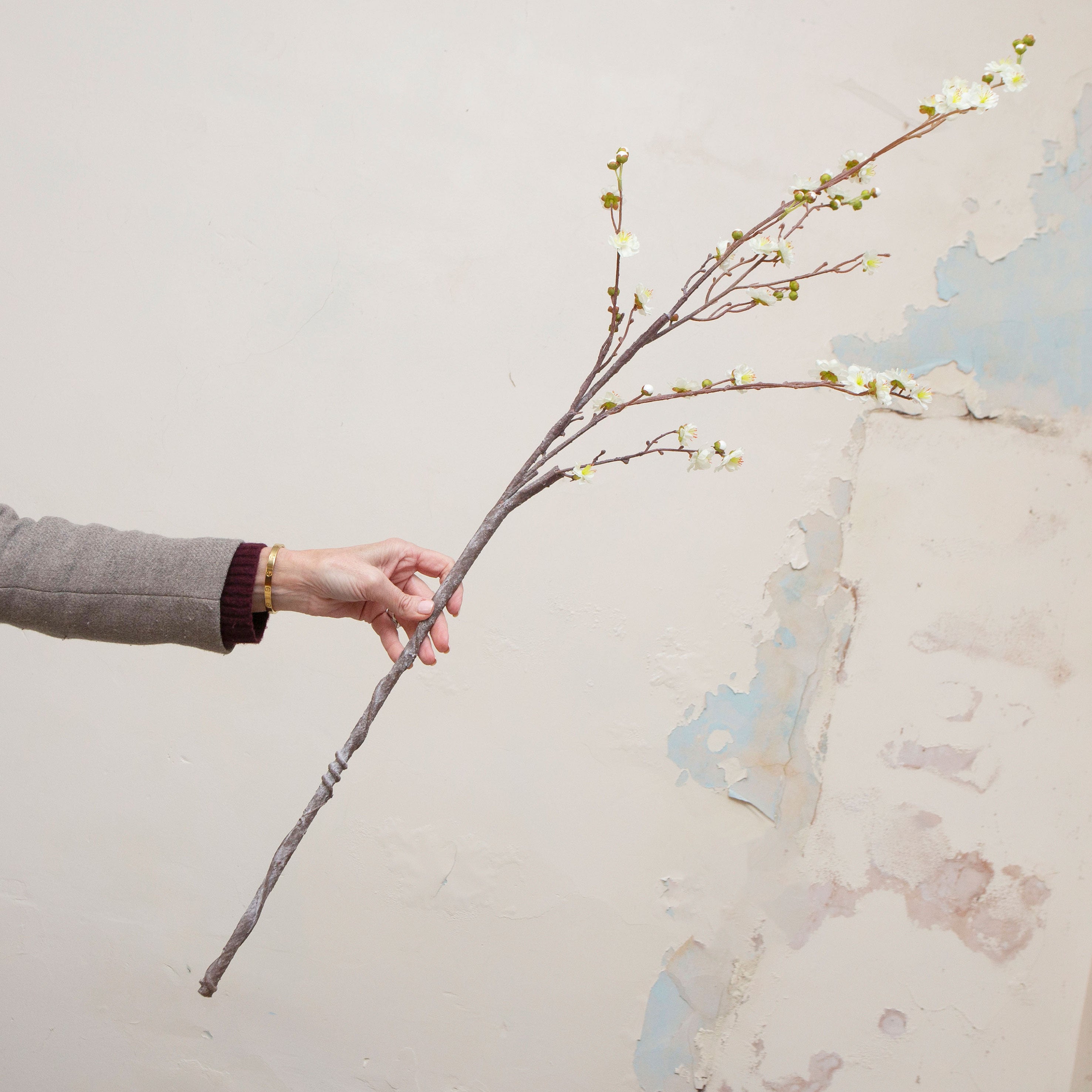 Hand holding stem of long artificial cream blossom with yellow centres on brown branch.