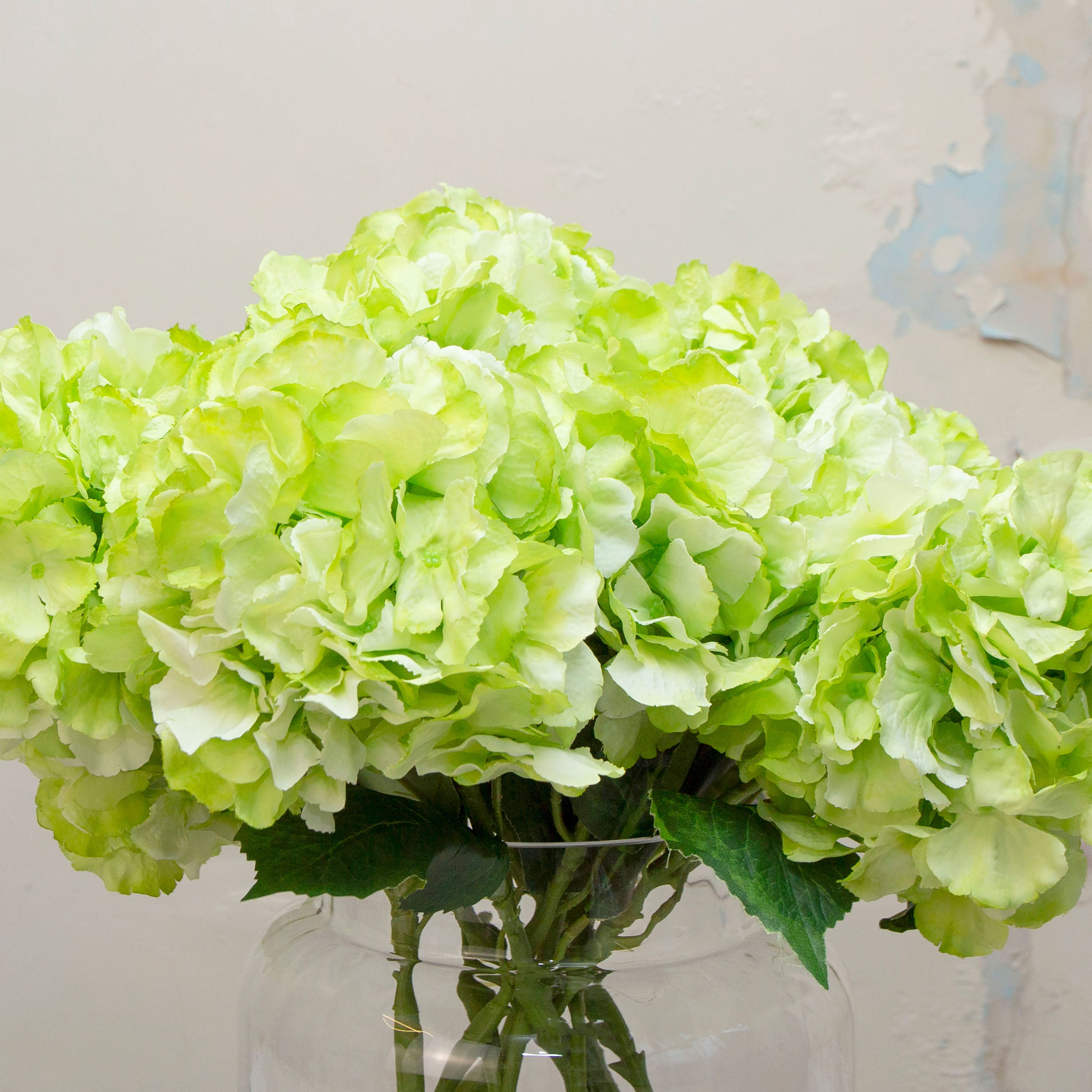 Close up of large headed artificial bright lime green hydrangea stems