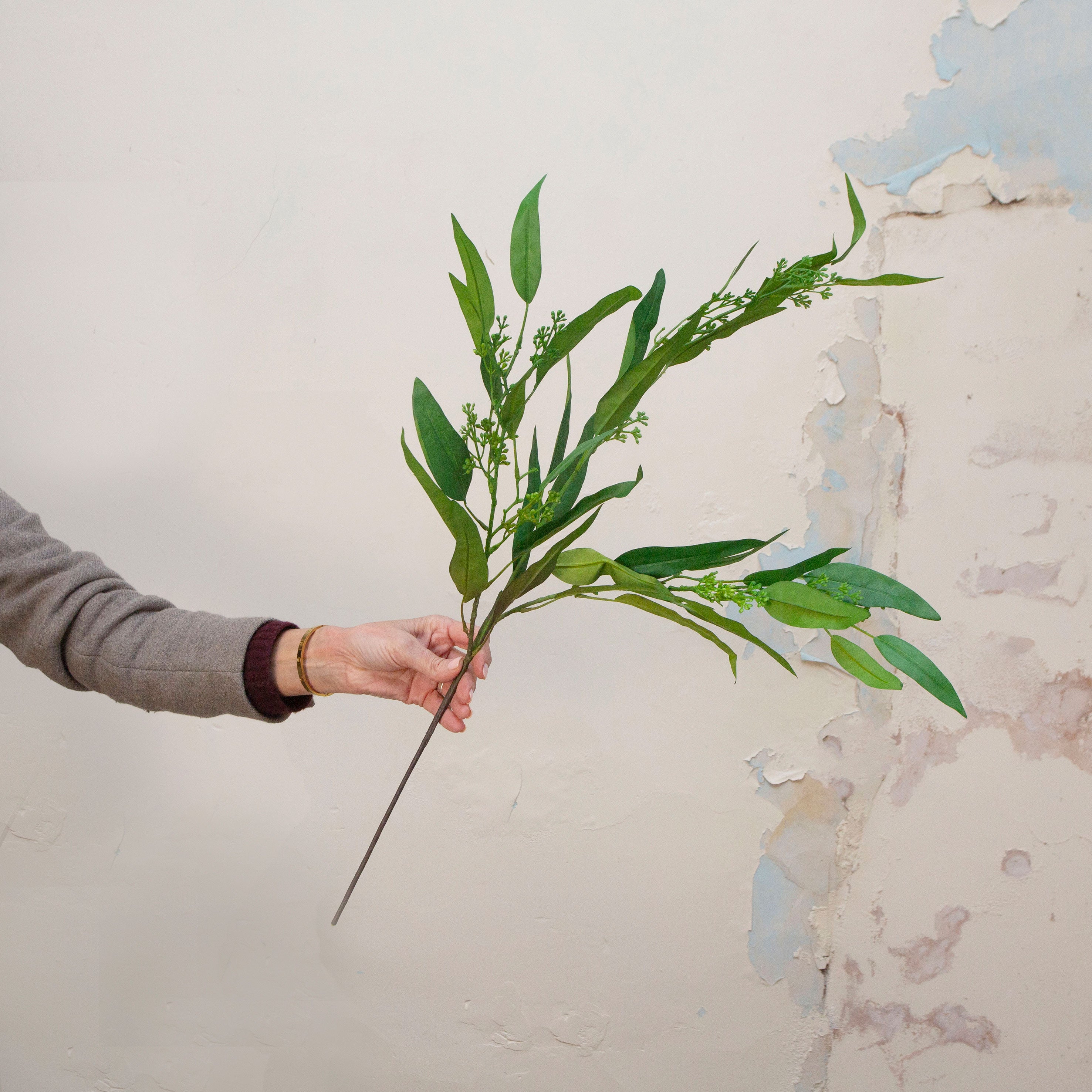 Hand holding artificial green eucalyptus stem with seeds