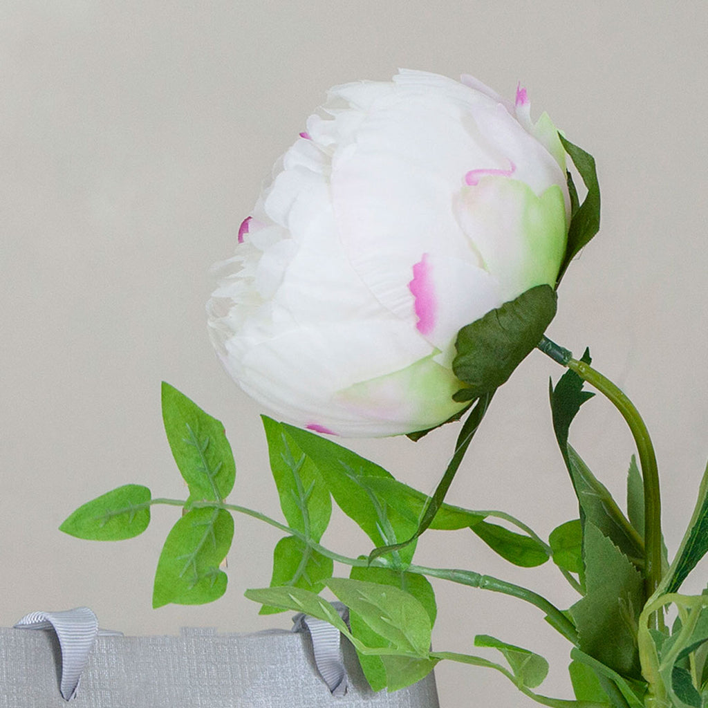 Close up of Bridal White Peony and Wisteria in a Vintage Bottle Vase with Gift Bag & Fragrance