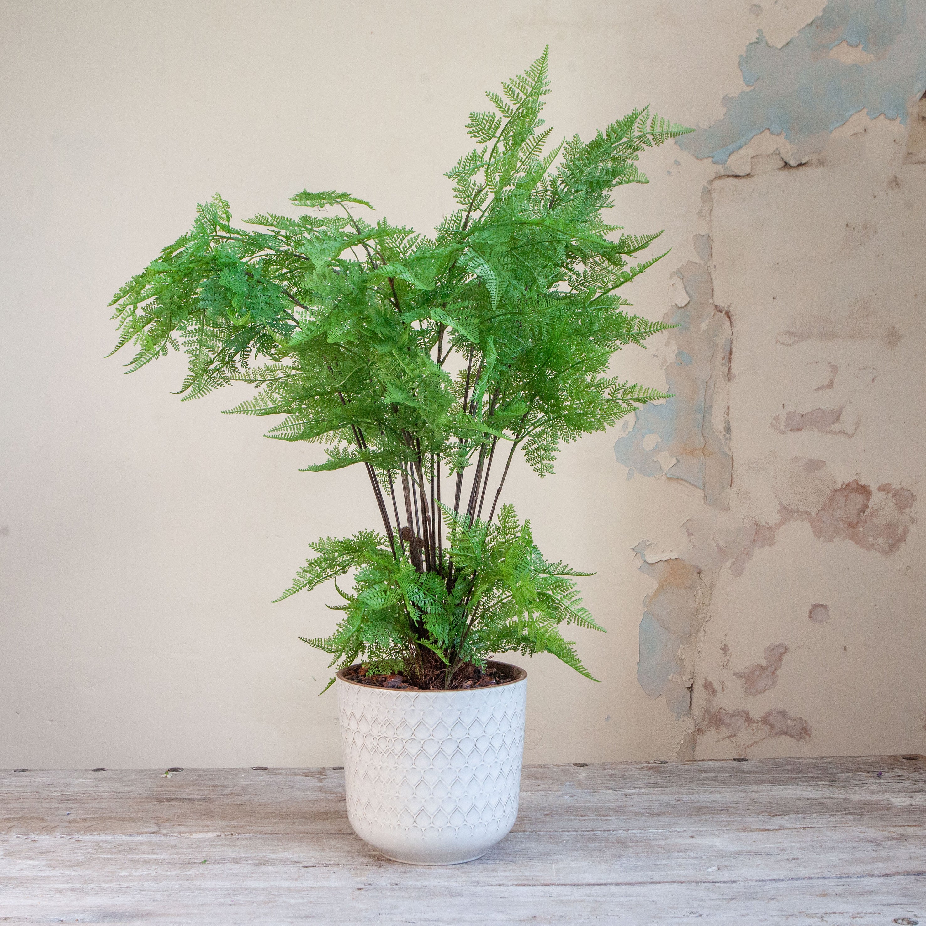 Artificial fern arrangement with lush green fronds displayed in a decorative engraved pot