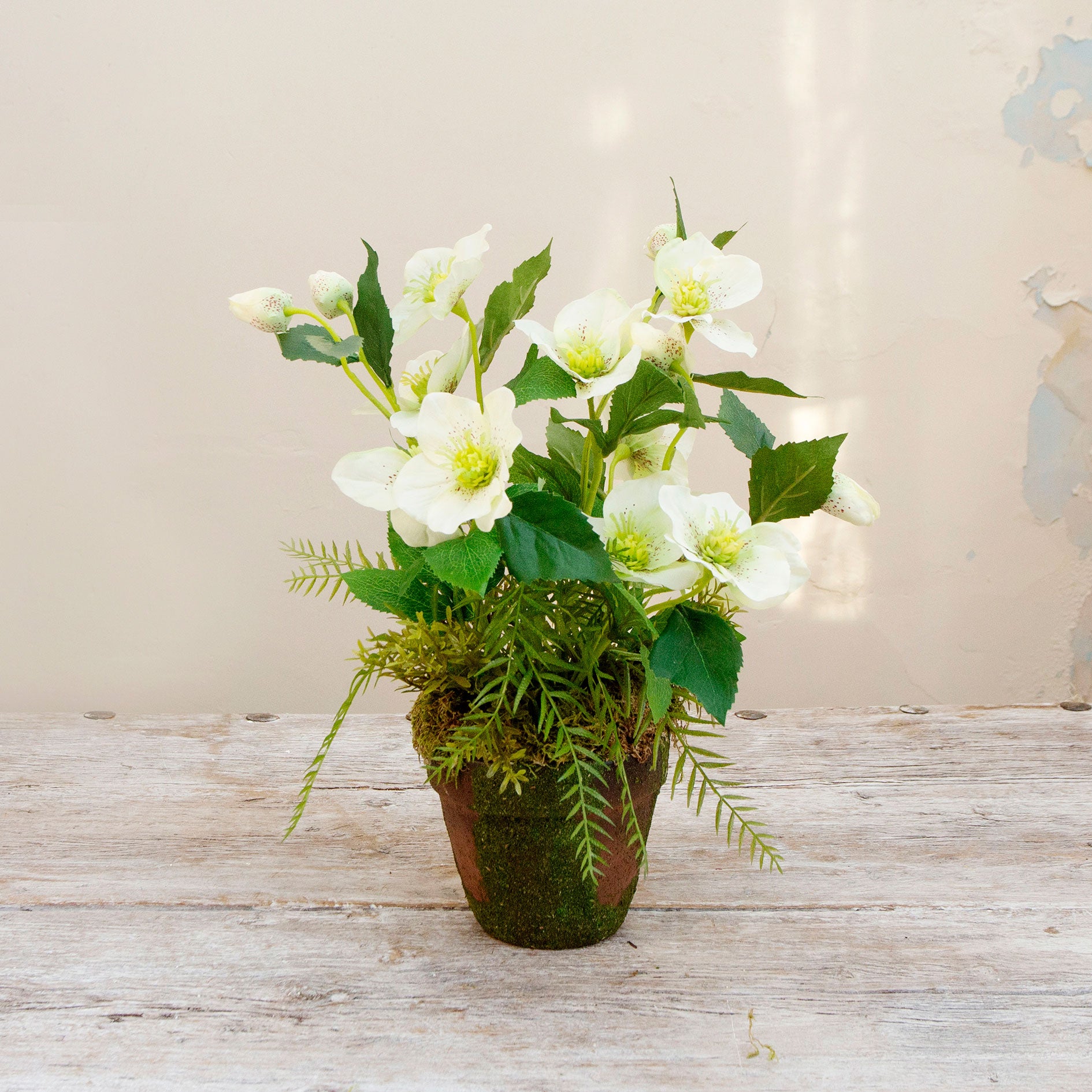 Artficial hellebore flowers arranged in a moss pot with foliage and willow