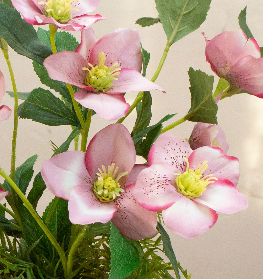 Artficial hellebore flowers arranged in a moss pot with foliage and willow