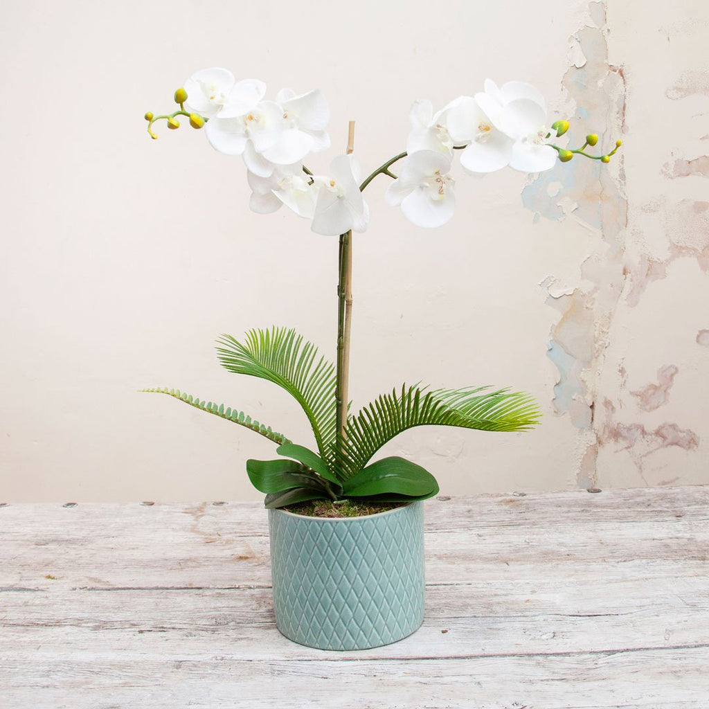 White Phalaenopsis Orchid in Coastal Ceramic Vase with Moss Peony