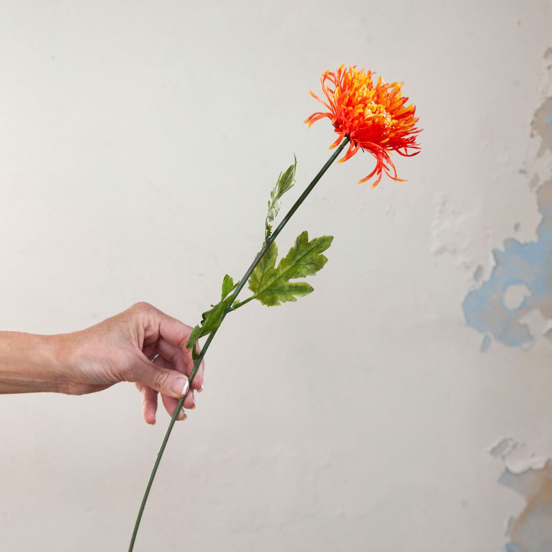 Orange Chrysanthemum Stem with Foliage Peony