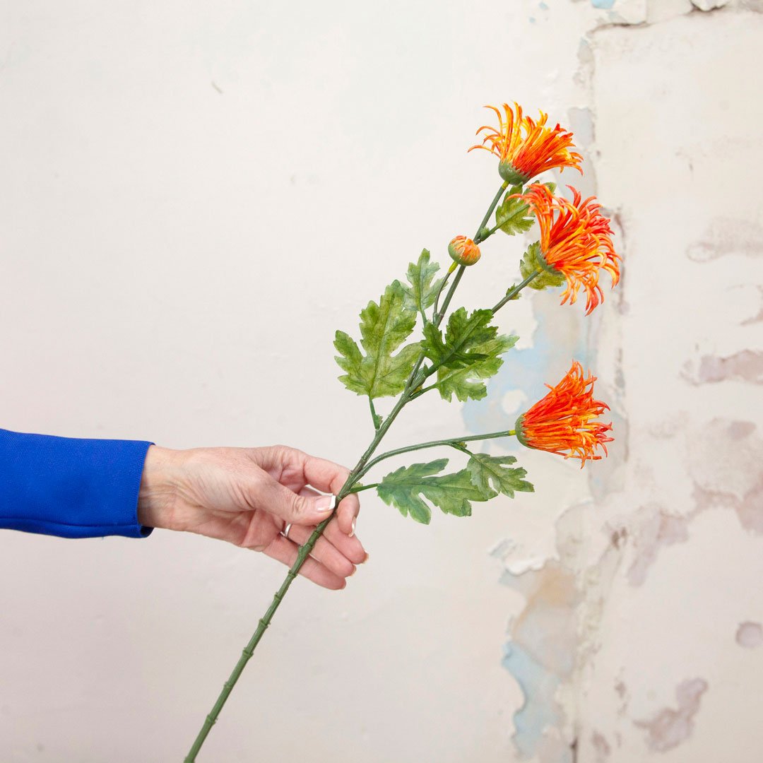 Orange and Yellow Daisy with Buds and Foliage Peony