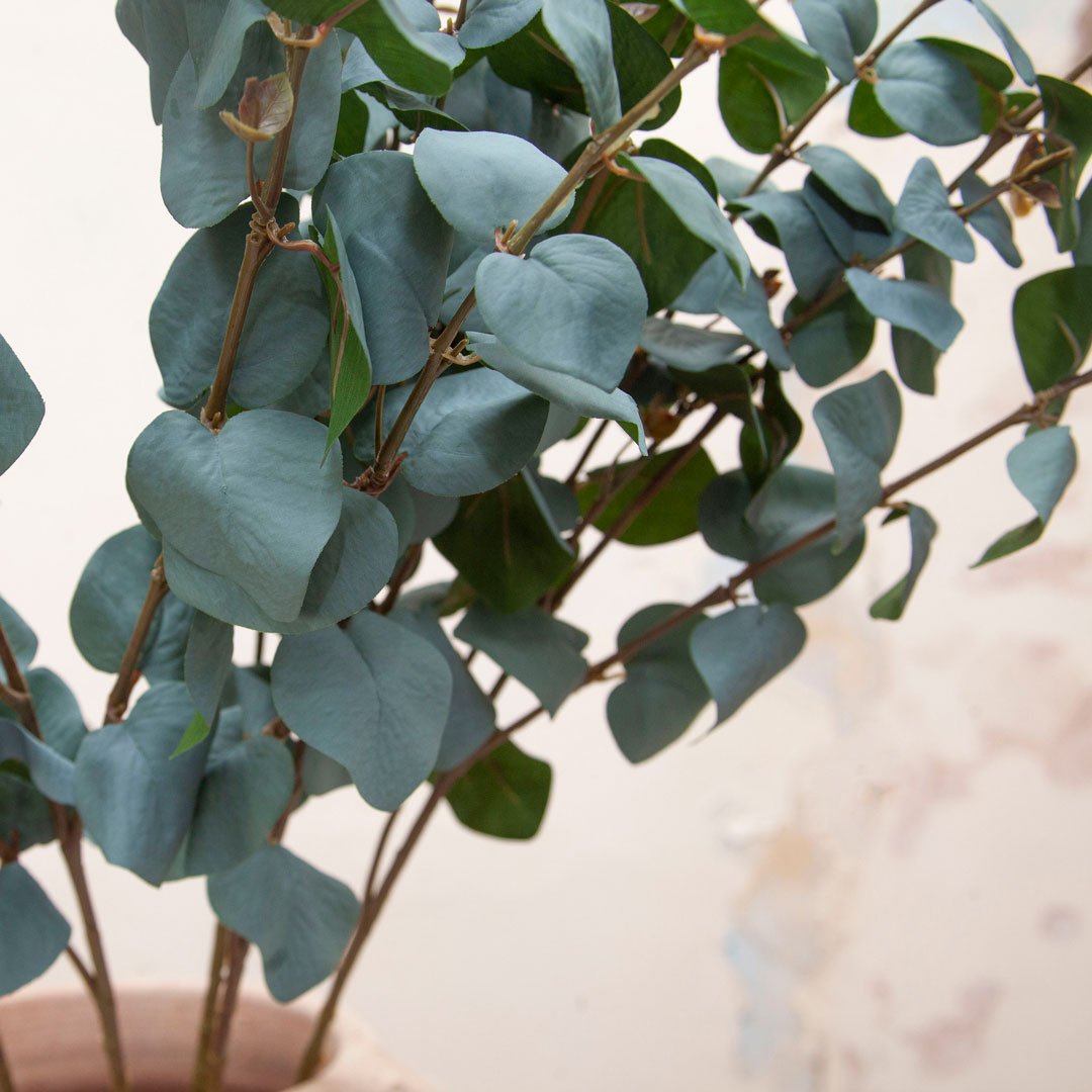 Green Eucalyptus Stem Peony