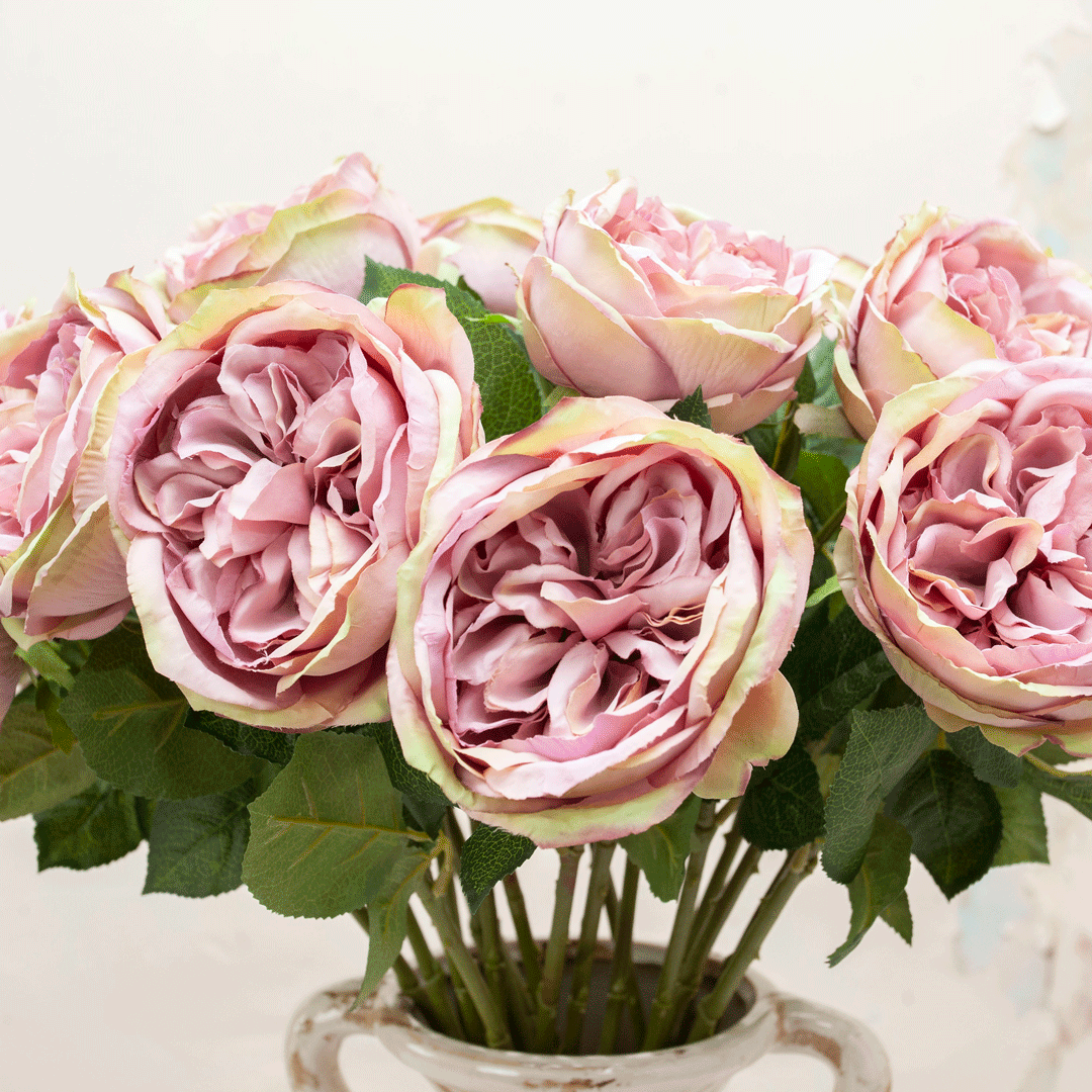 Lilac cabbage rose with leaves Peony