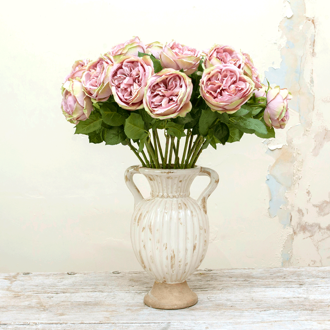 Lilac cabbage rose with leaves Peony