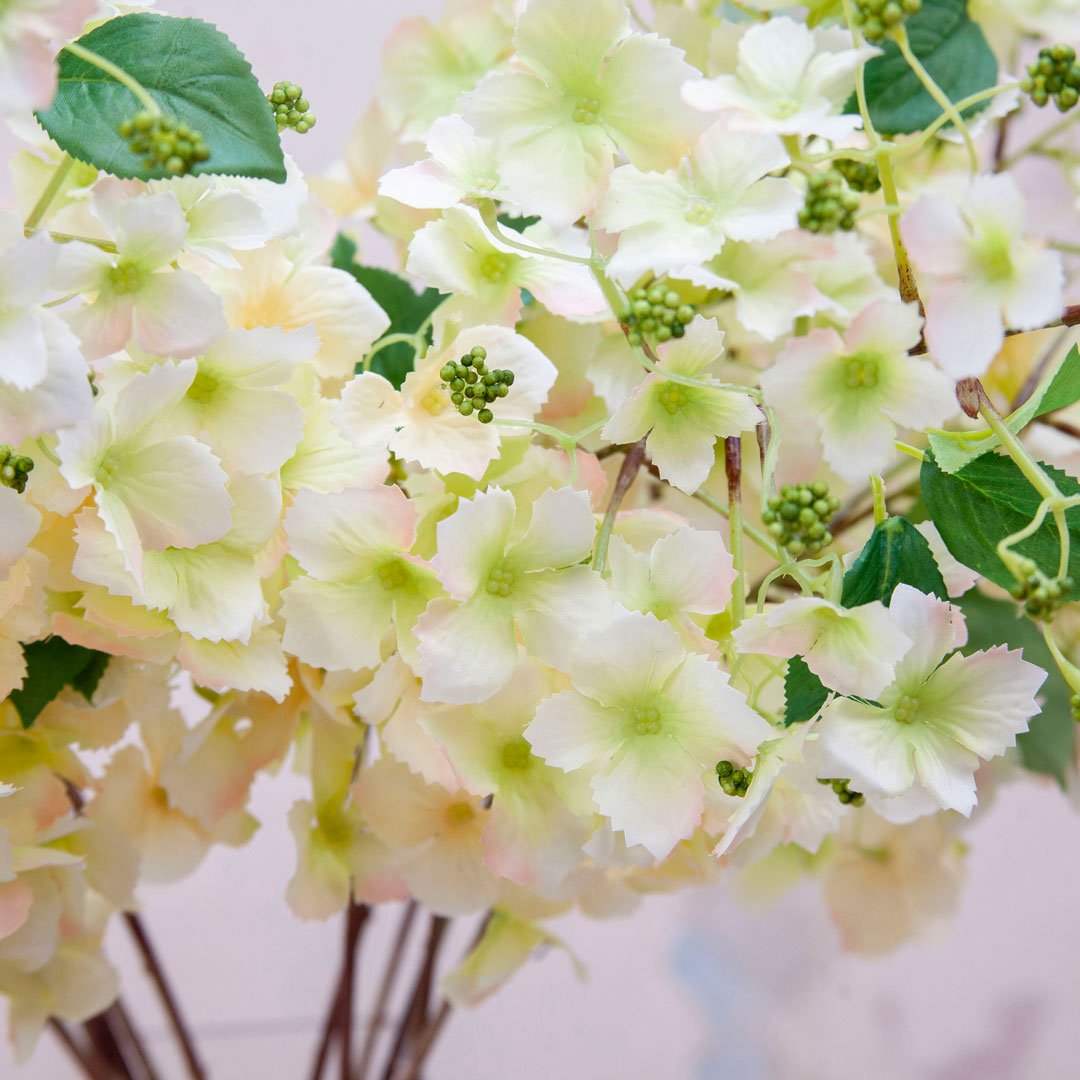 Pale Green Hydrangea Stem with Buds Peony