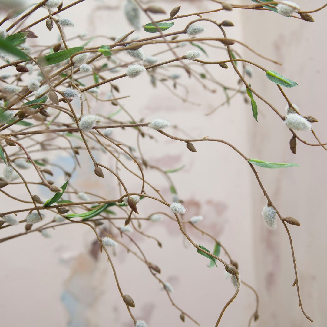 Cascading Pussy Willow Stem Peony