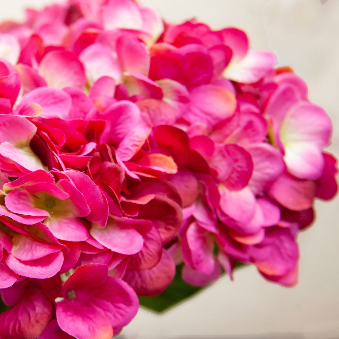 Fuchsia Hydrangea Stem with Leaves Peony