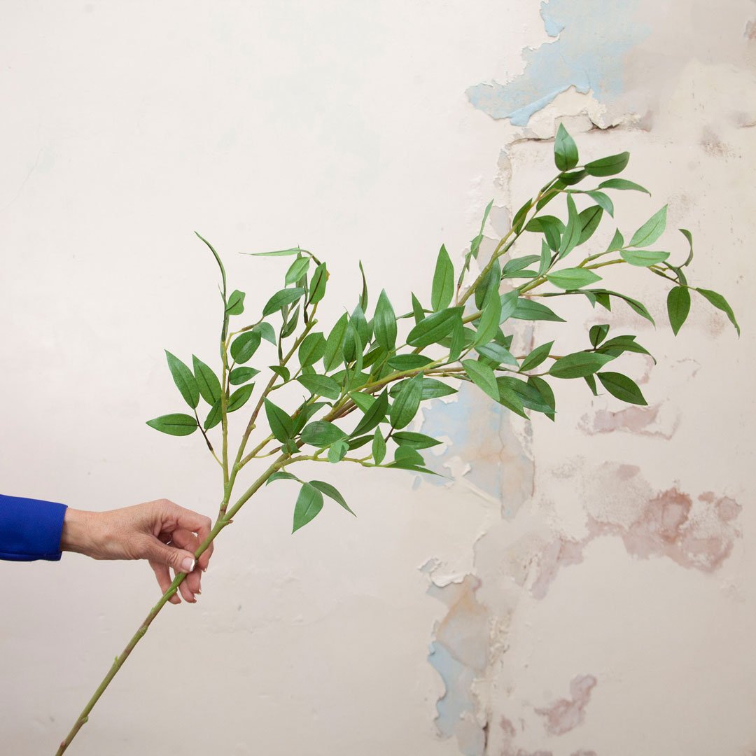 Tall Green Leaf Stem Peony