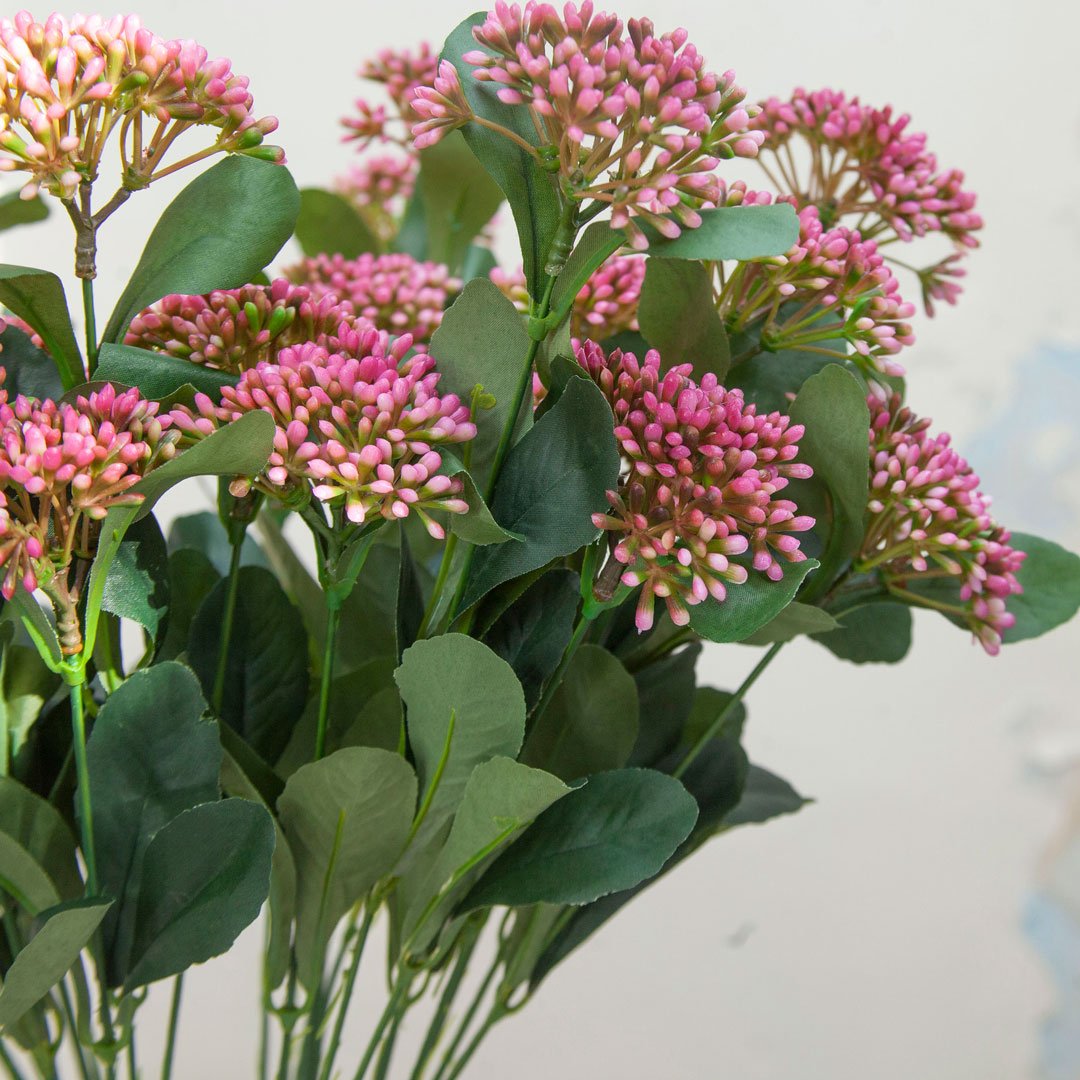 Tall Stems of Dark Pink Skimmia Berries Peony