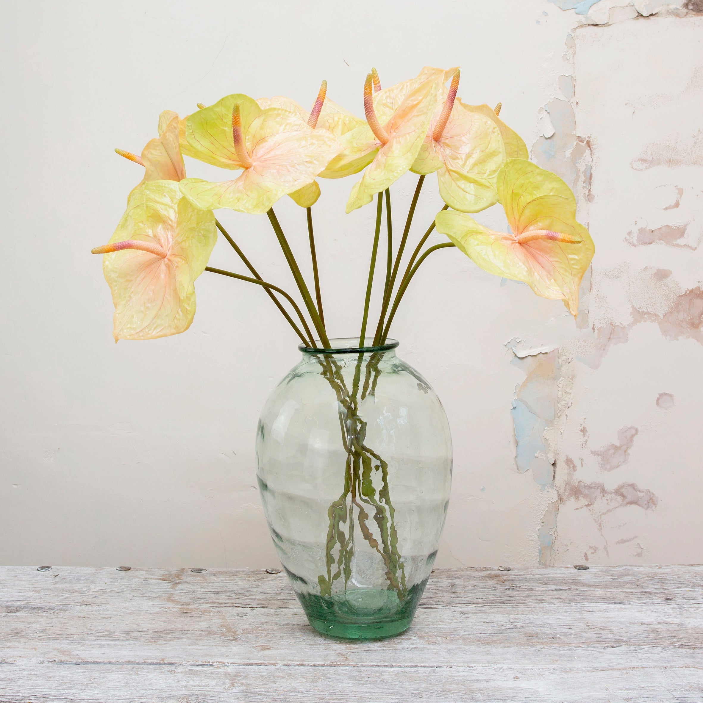 Real touch vibrant anthurium on a long stem. Peony