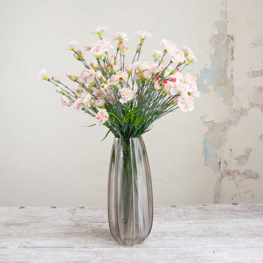 Pale Pink Carnations on a Long Stem Peony