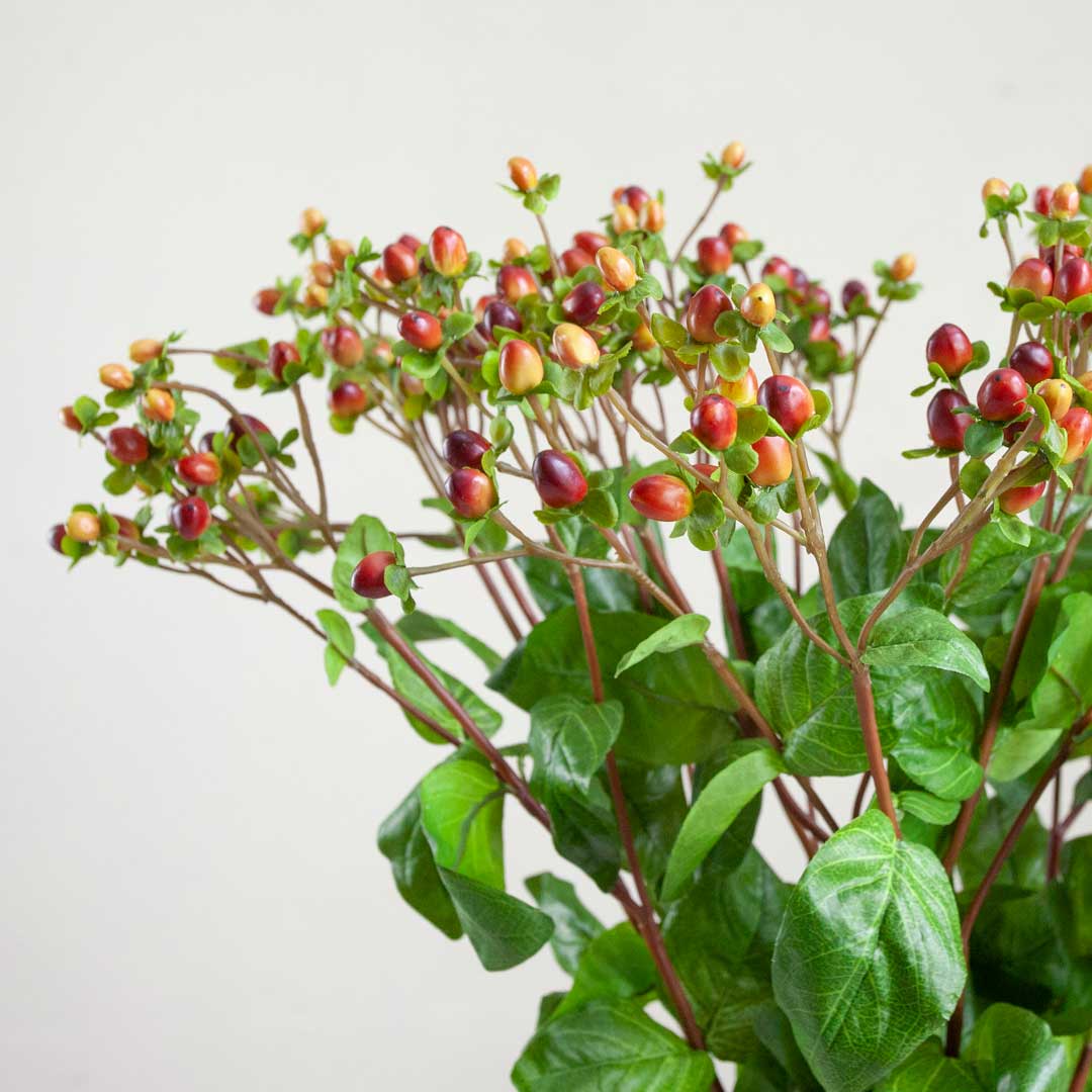 Orange Hypericum Stem with Berries Peony