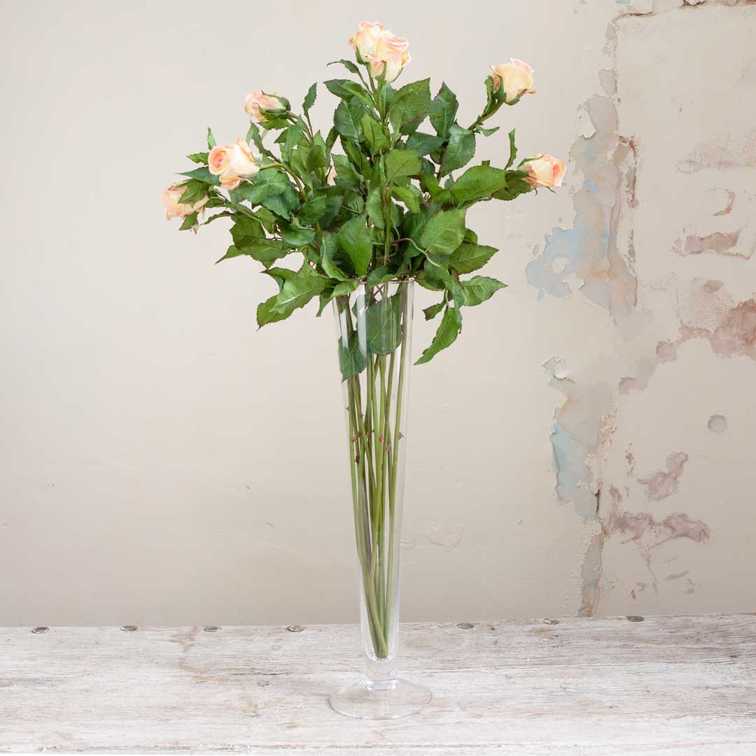 Peach / Pink Rose with Buds and Thorns on a Long Stem Peony