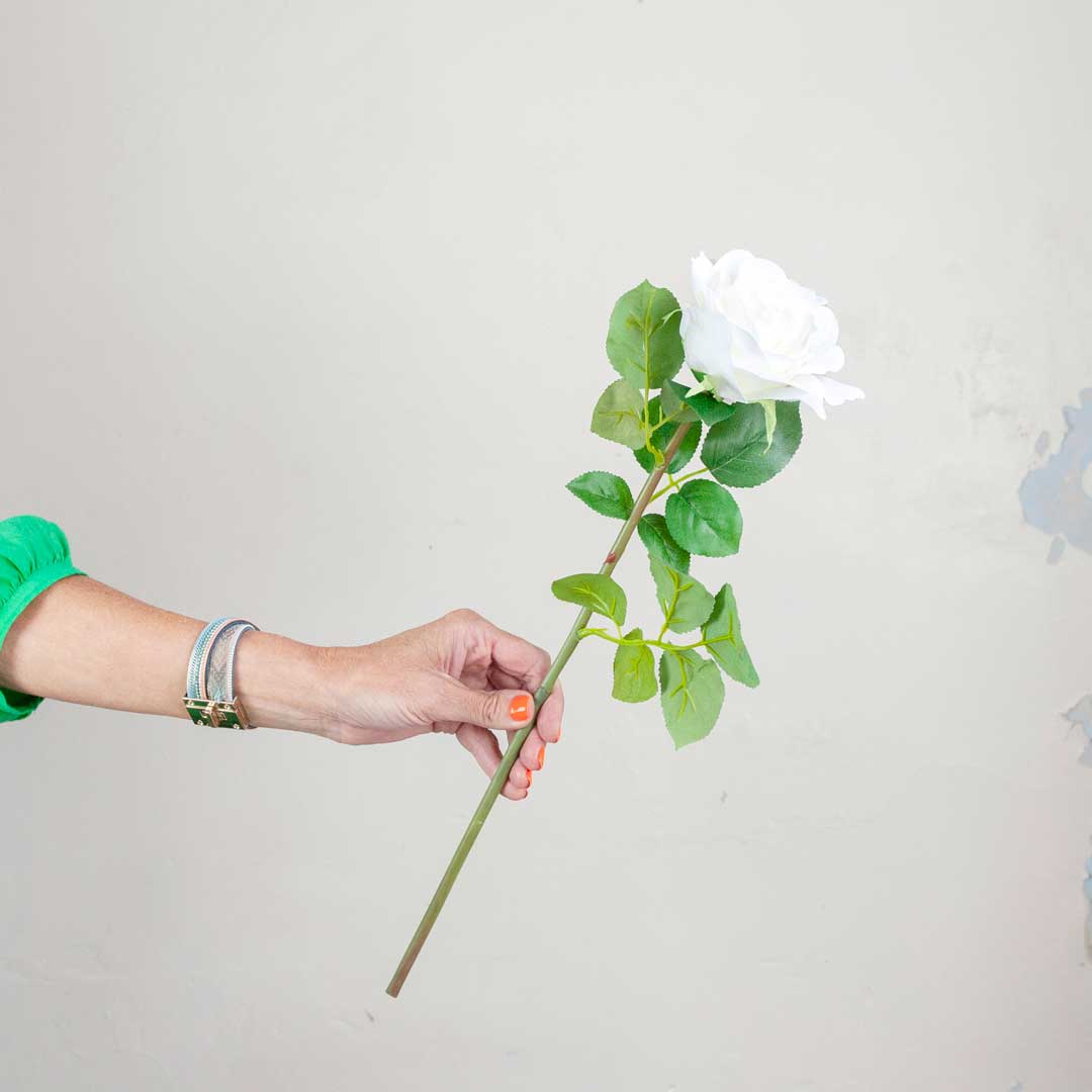 White Avalanche Rose Stem with Leaves Peony