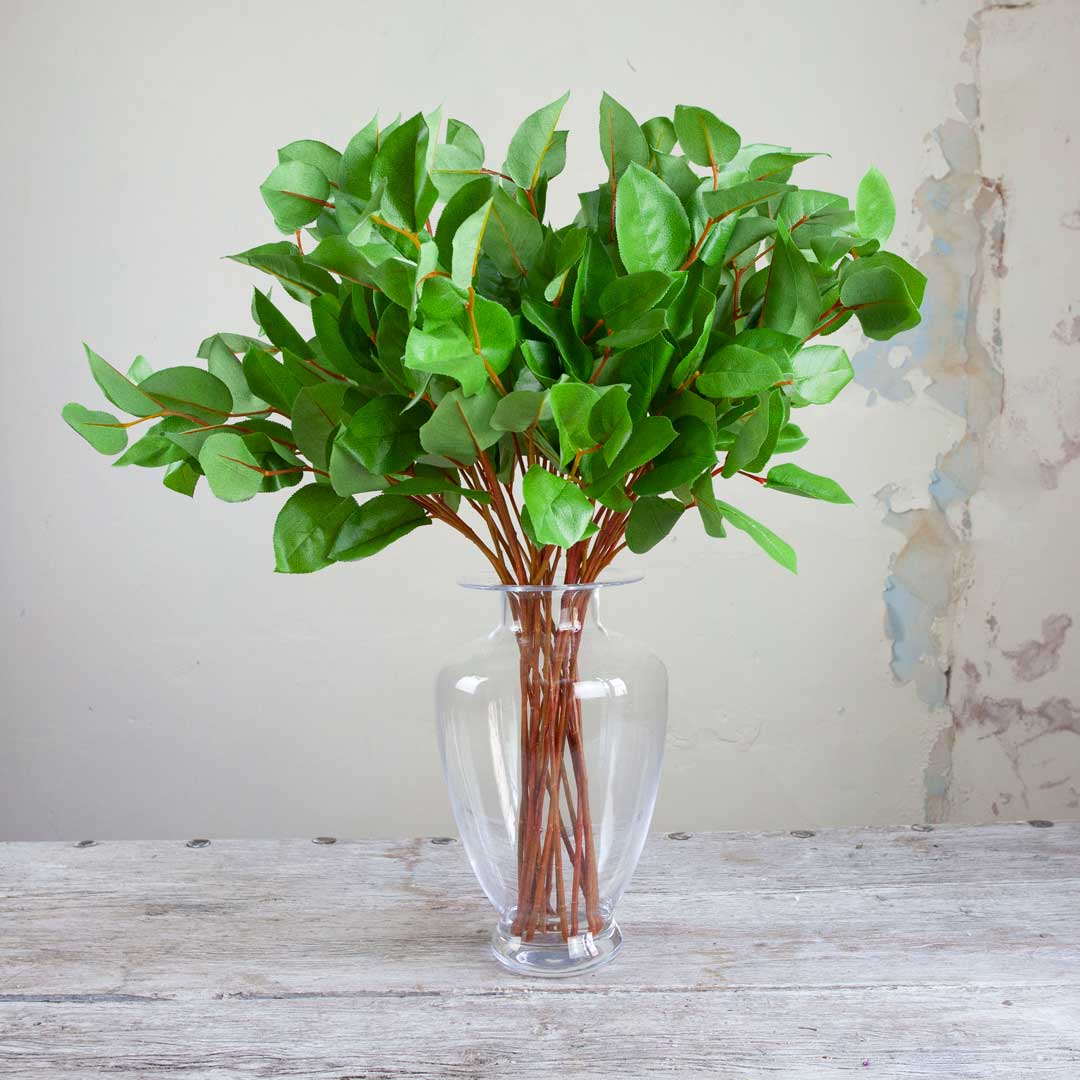 Green Salal Leaves Peony