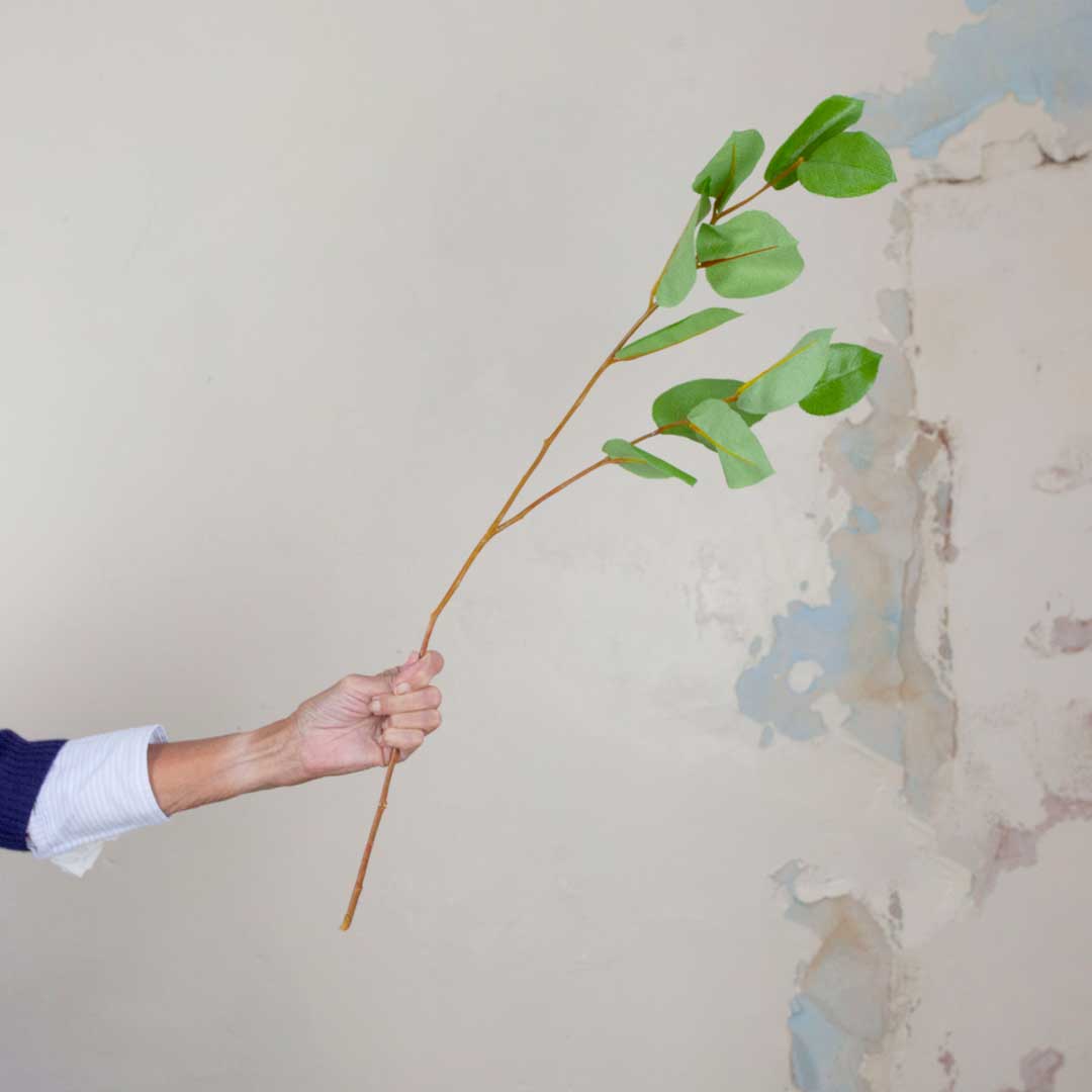 Green Salal Leaves Peony