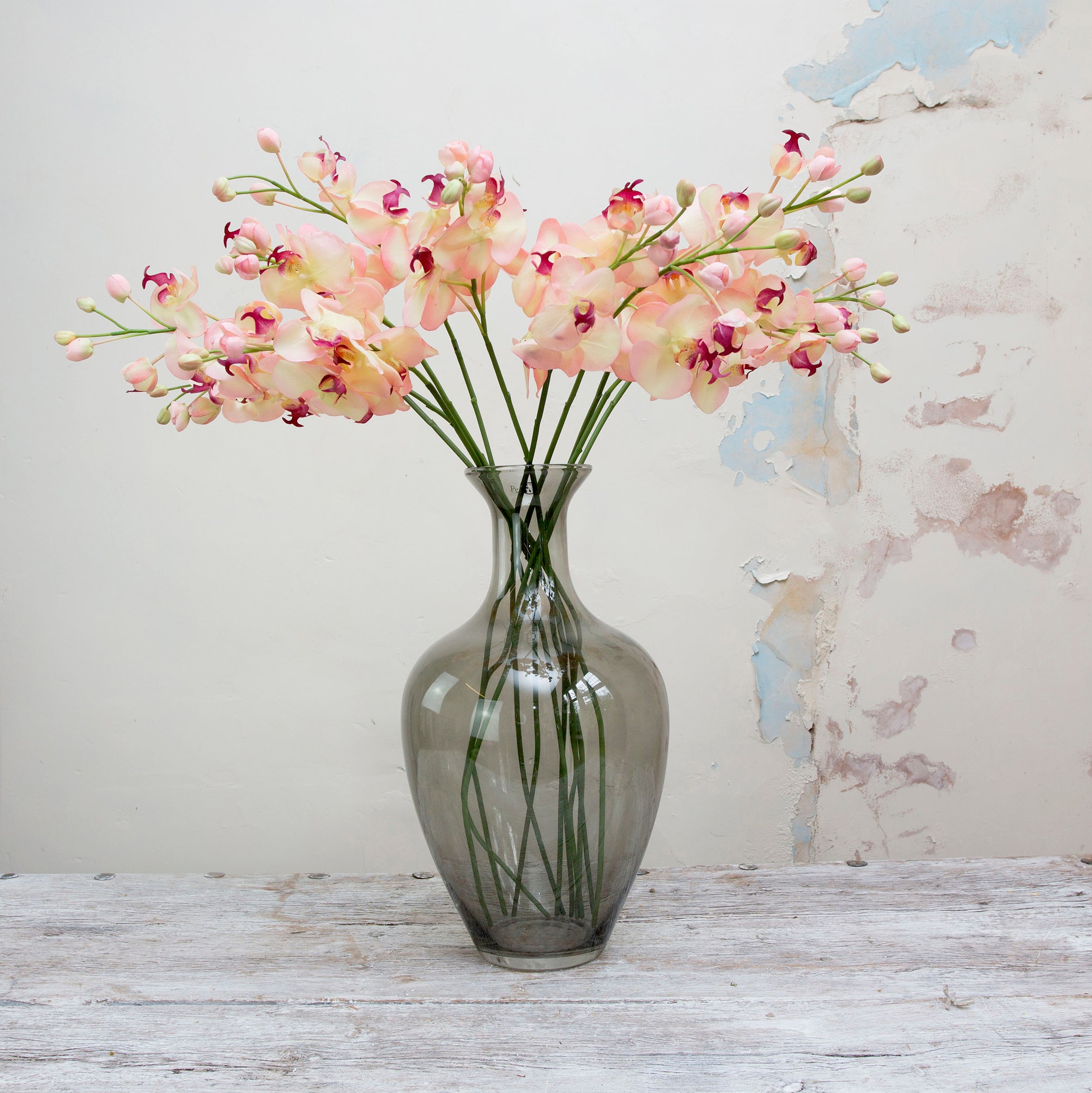 Real touch phalenopsis with buds on a long stem. Peony