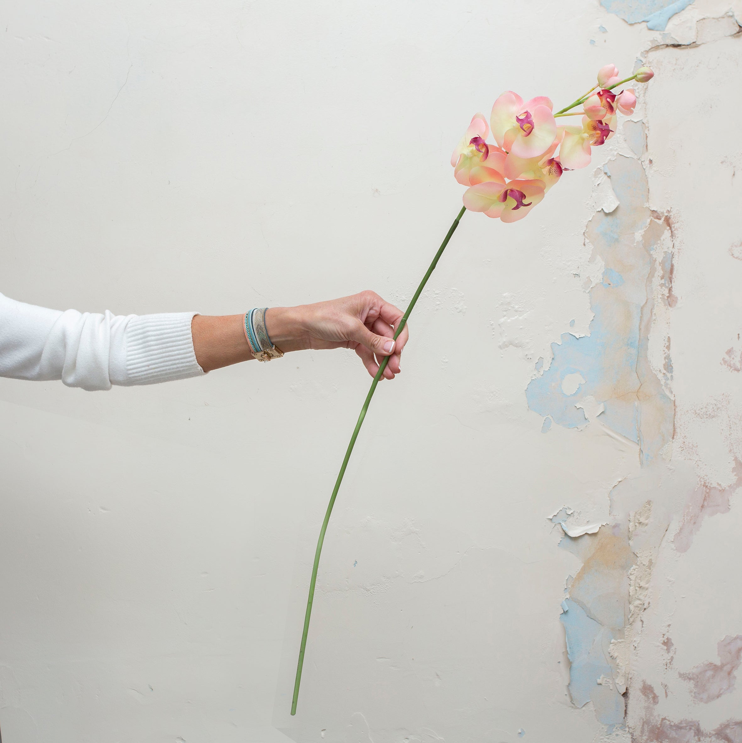 Real touch phalenopsis with buds on a long stem. Peony